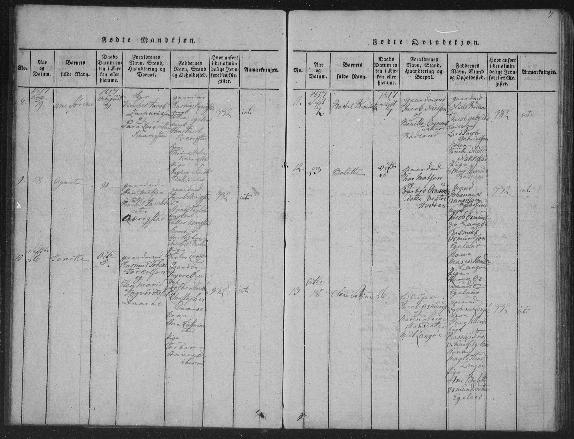 Herad sokneprestkontor, AV/SAK-1111-0018/F/Fa/Fab/L0002: Parish register (official) no. A 2, 1816-1844, p. 7