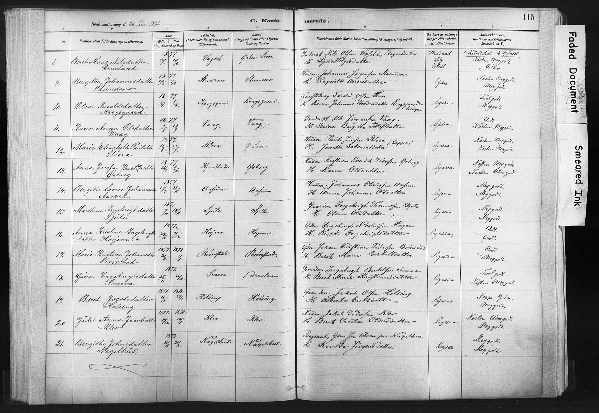 Ministerialprotokoller, klokkerbøker og fødselsregistre - Nord-Trøndelag, SAT/A-1458/749/L0474: Parish register (official) no. 749A08, 1887-1903, p. 115