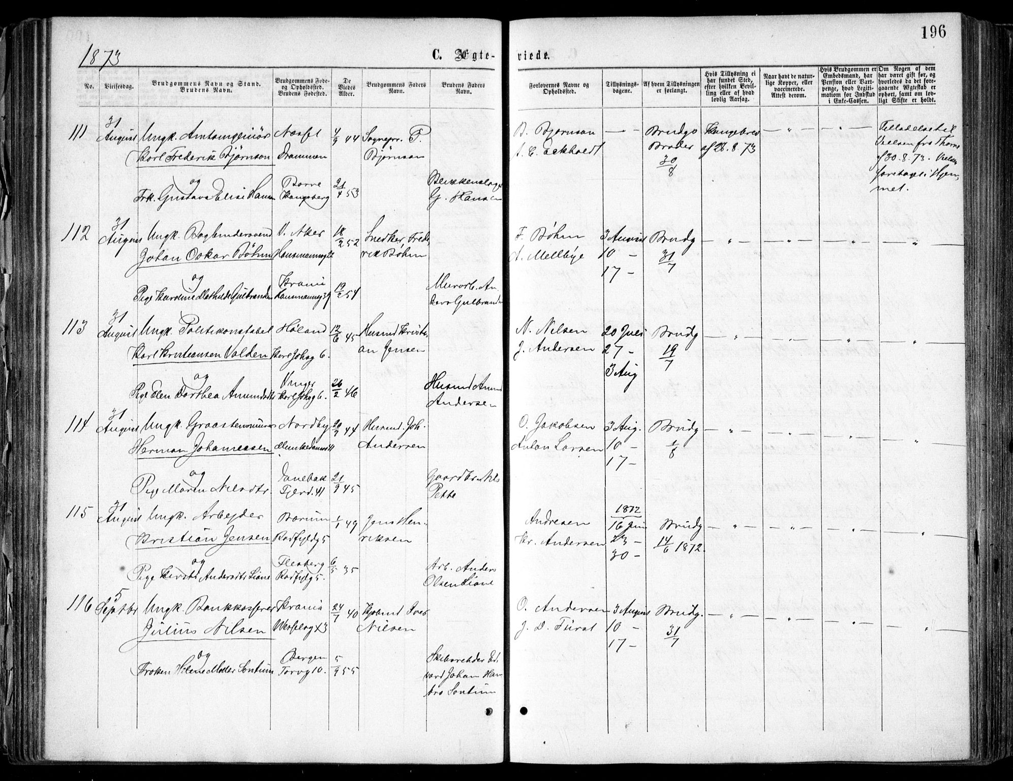 Oslo domkirke Kirkebøker, SAO/A-10752/F/Fa/L0021: Parish register (official) no. 21, 1865-1884, p. 196