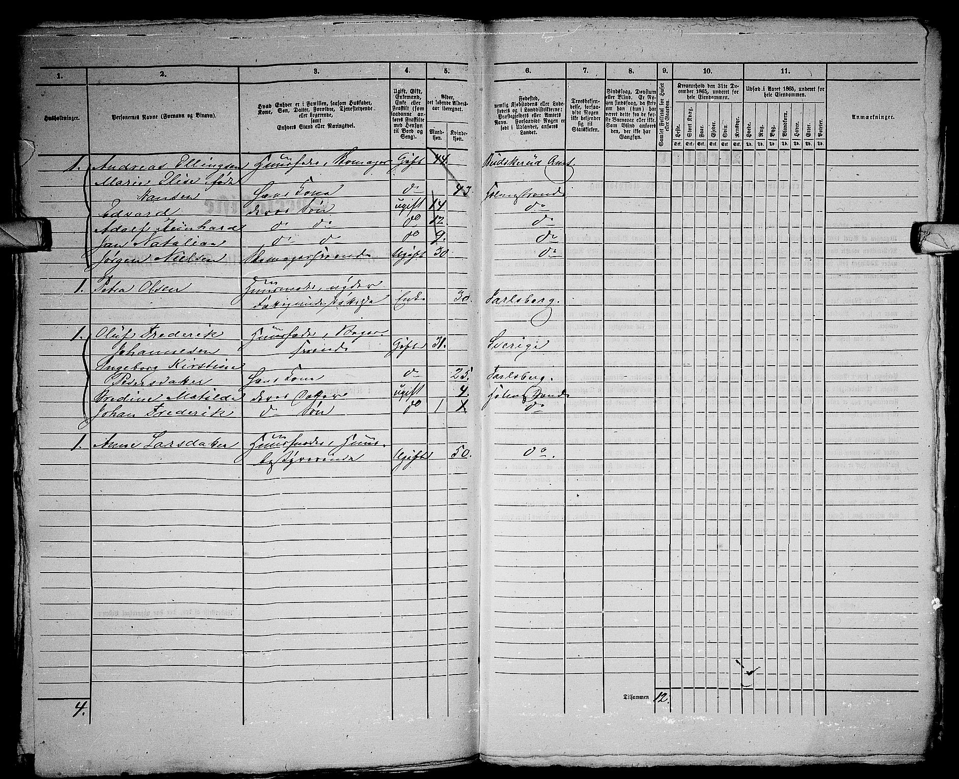 RA, 1865 census for Botne/Holmestrand, 1865, p. 293