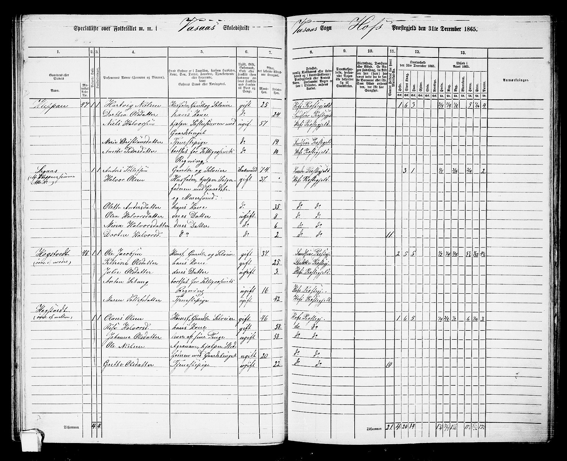 RA, 1865 census for Hof, 1865, p. 61