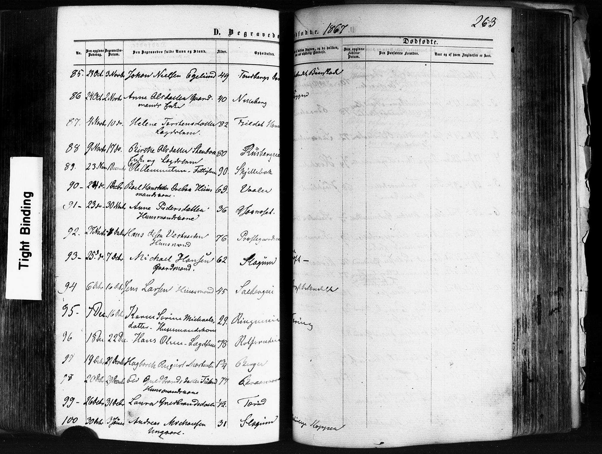 Skedsmo prestekontor Kirkebøker, AV/SAO-A-10033a/F/Fa/L0011: Parish register (official) no. I 11, 1866-1876, p. 263