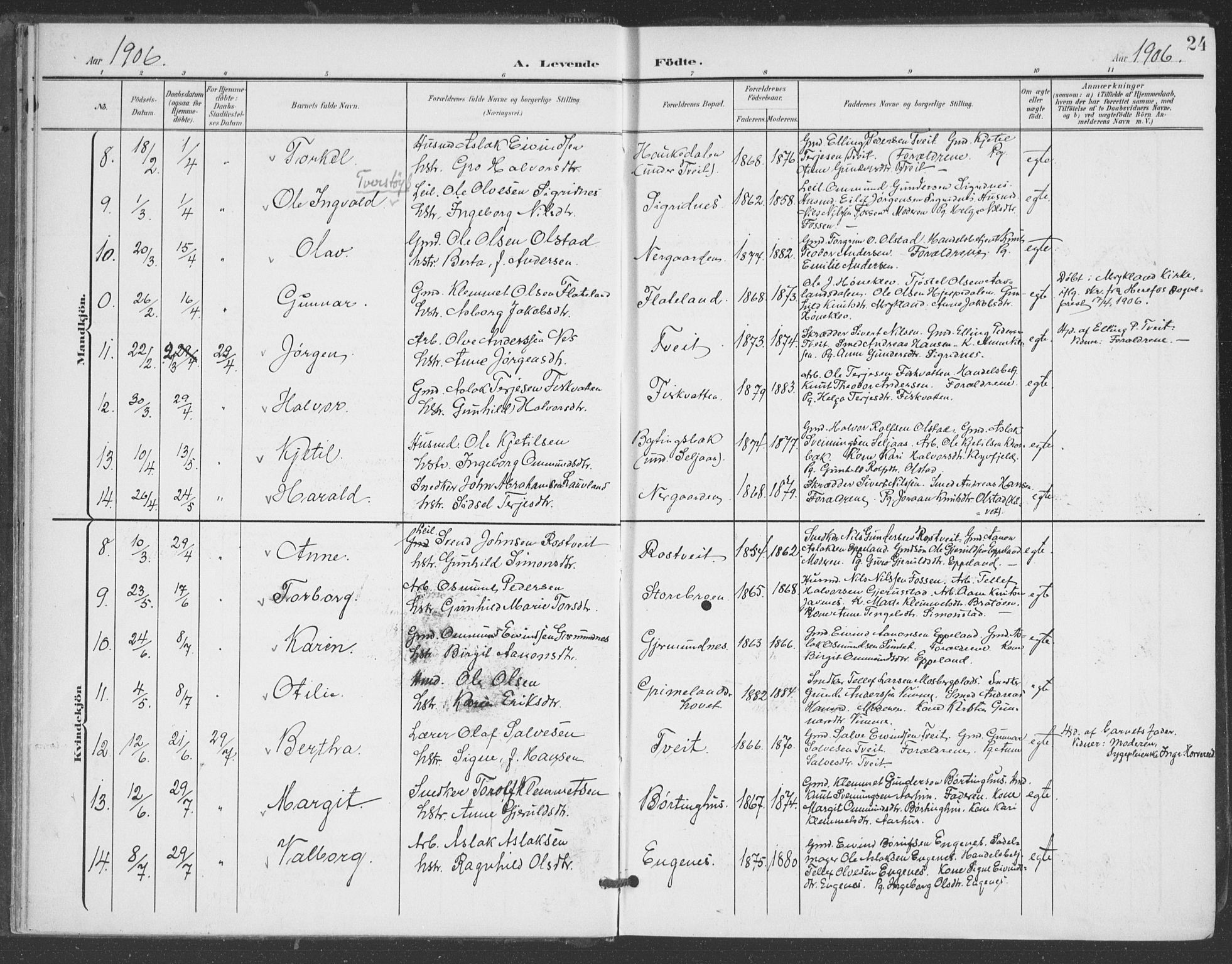 Åmli sokneprestkontor, AV/SAK-1111-0050/F/Fa/Fac/L0012: Parish register (official) no. A 12, 1900-1914, p. 24