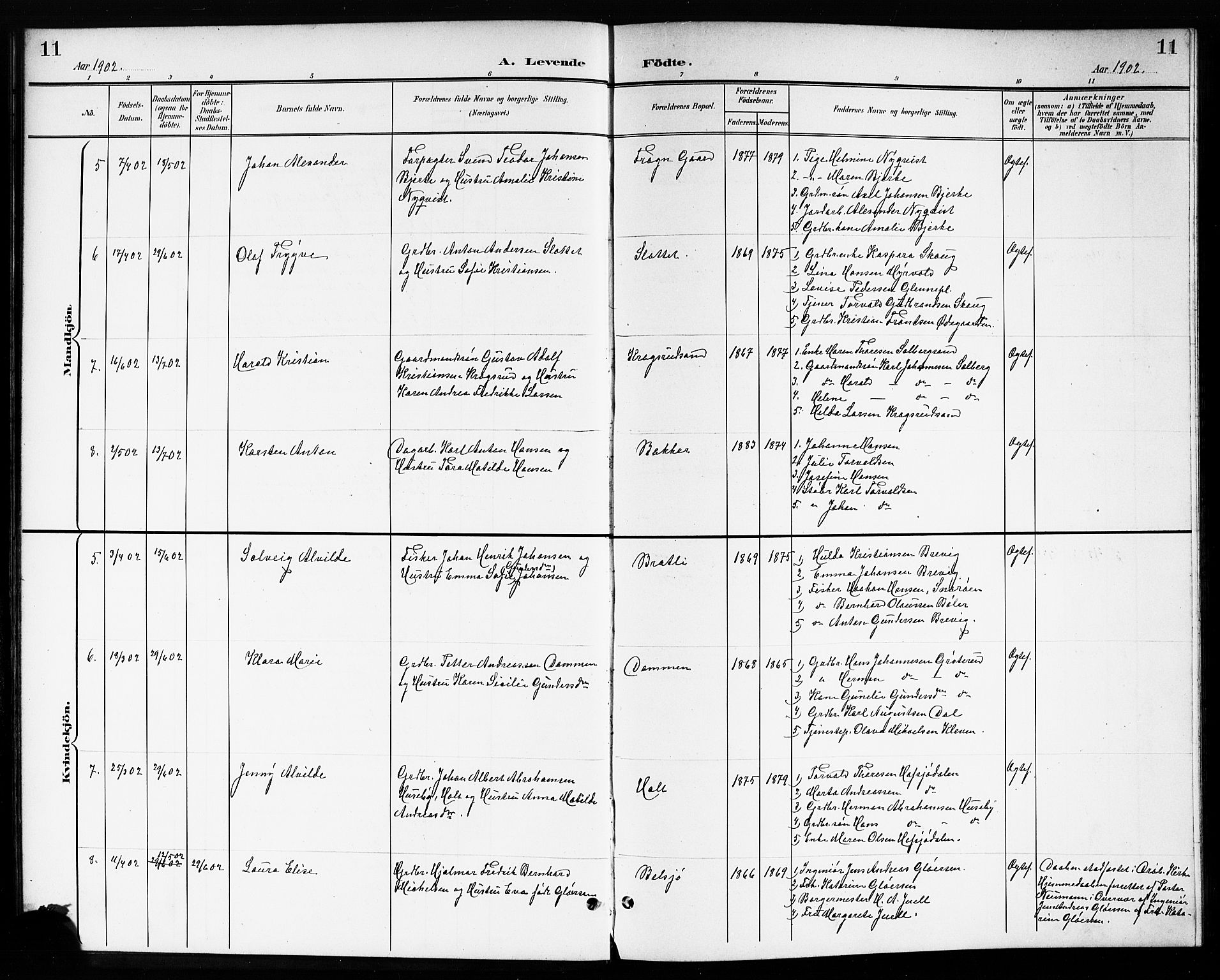 Drøbak prestekontor Kirkebøker, SAO/A-10142a/G/Gb/L0001: Parish register (copy) no. II 1, 1901-1919, p. 11