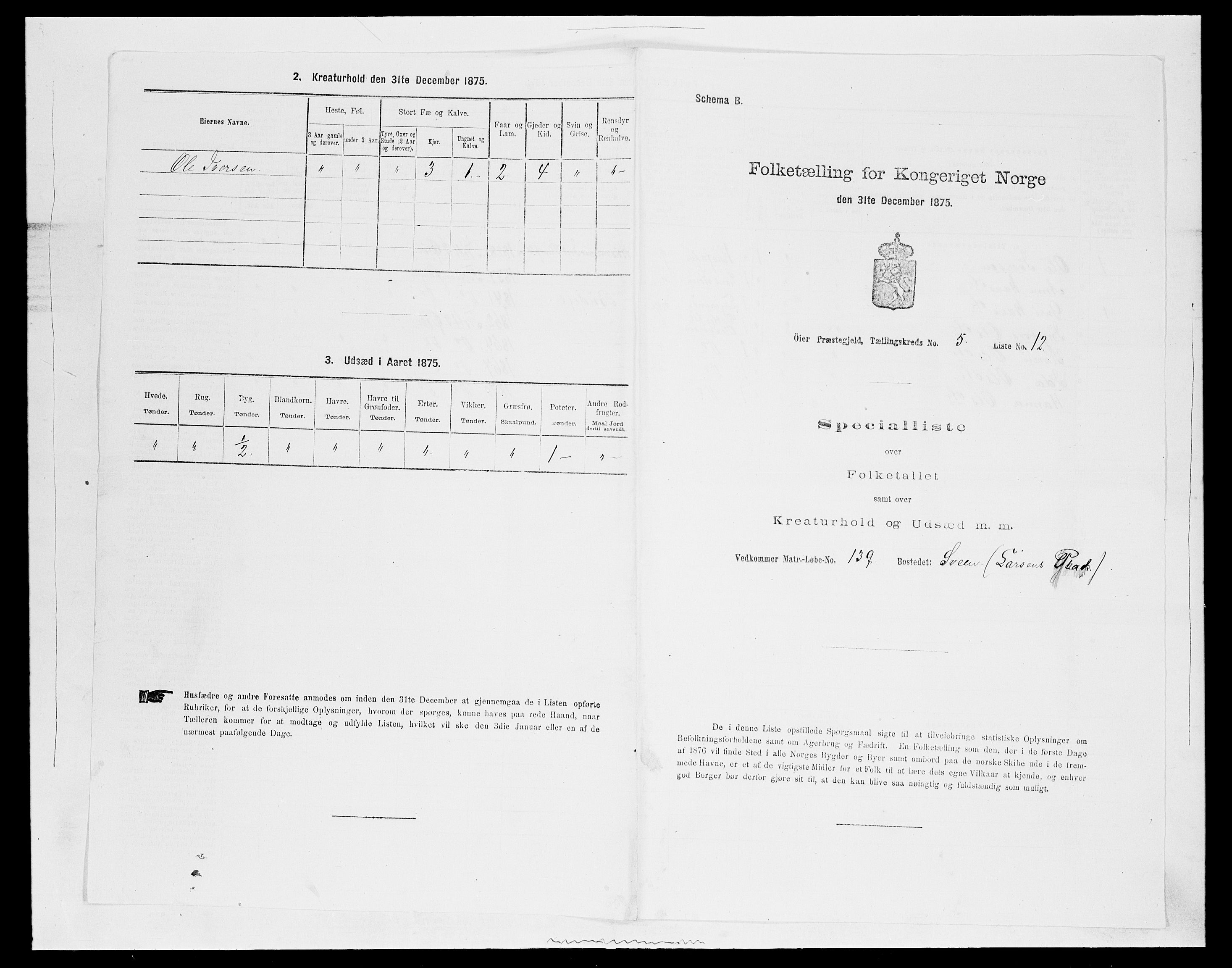 SAH, 1875 census for 0521P Øyer, 1875, p. 978