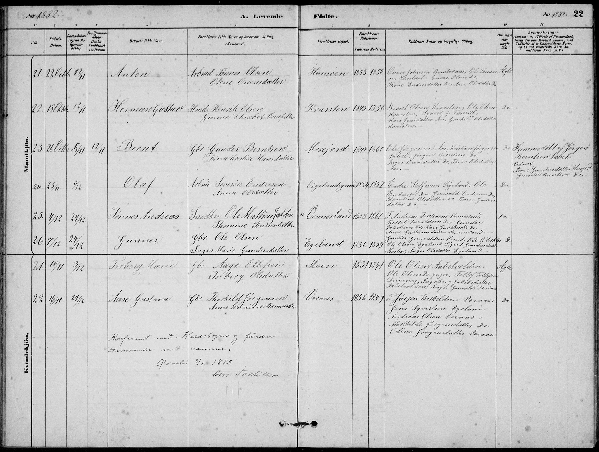 Vennesla sokneprestkontor, AV/SAK-1111-0045/Fb/Fbb/L0003: Parish register (copy) no. B 3, 1879-1893, p. 22