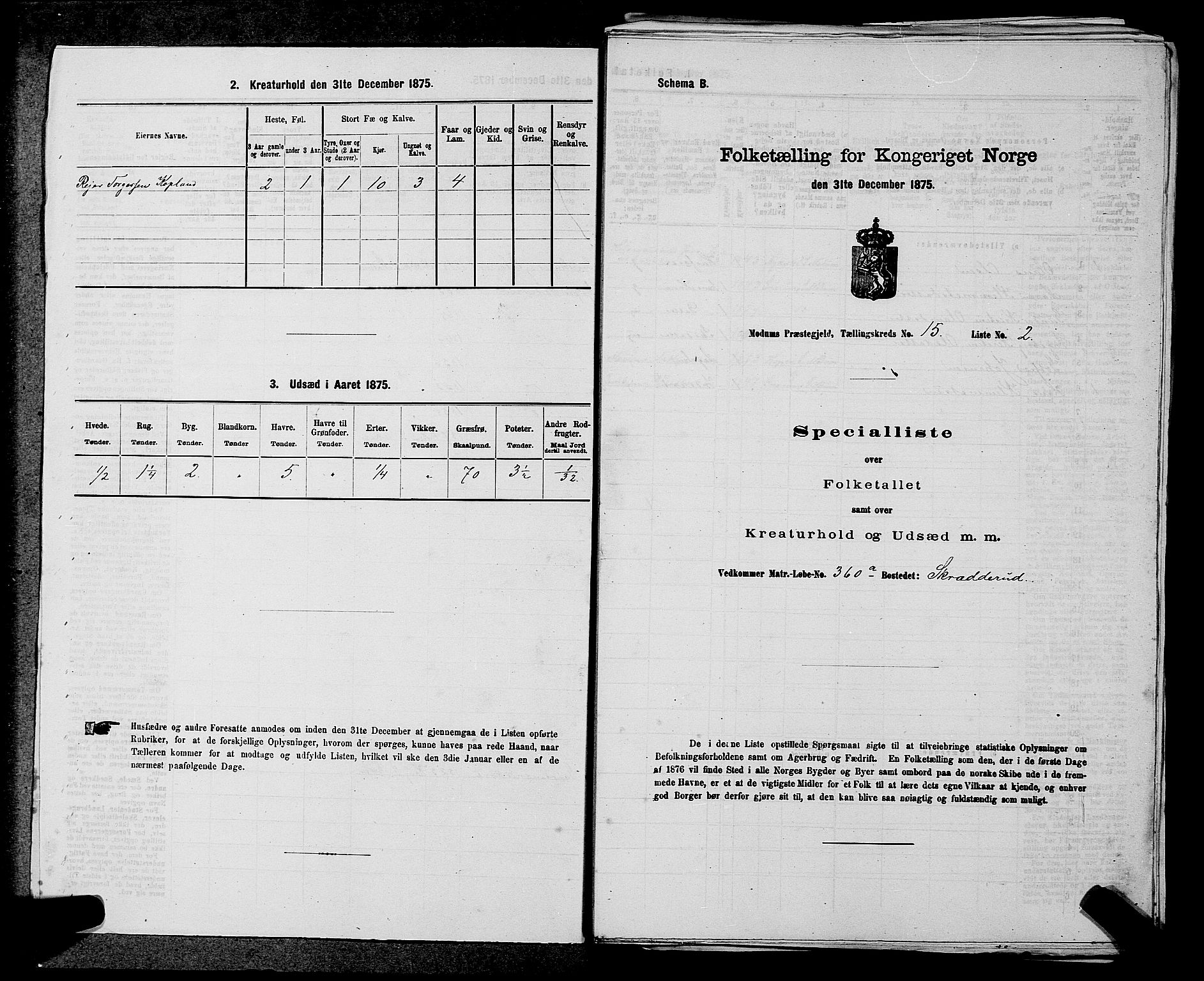 SAKO, 1875 census for 0623P Modum, 1875, p. 1781