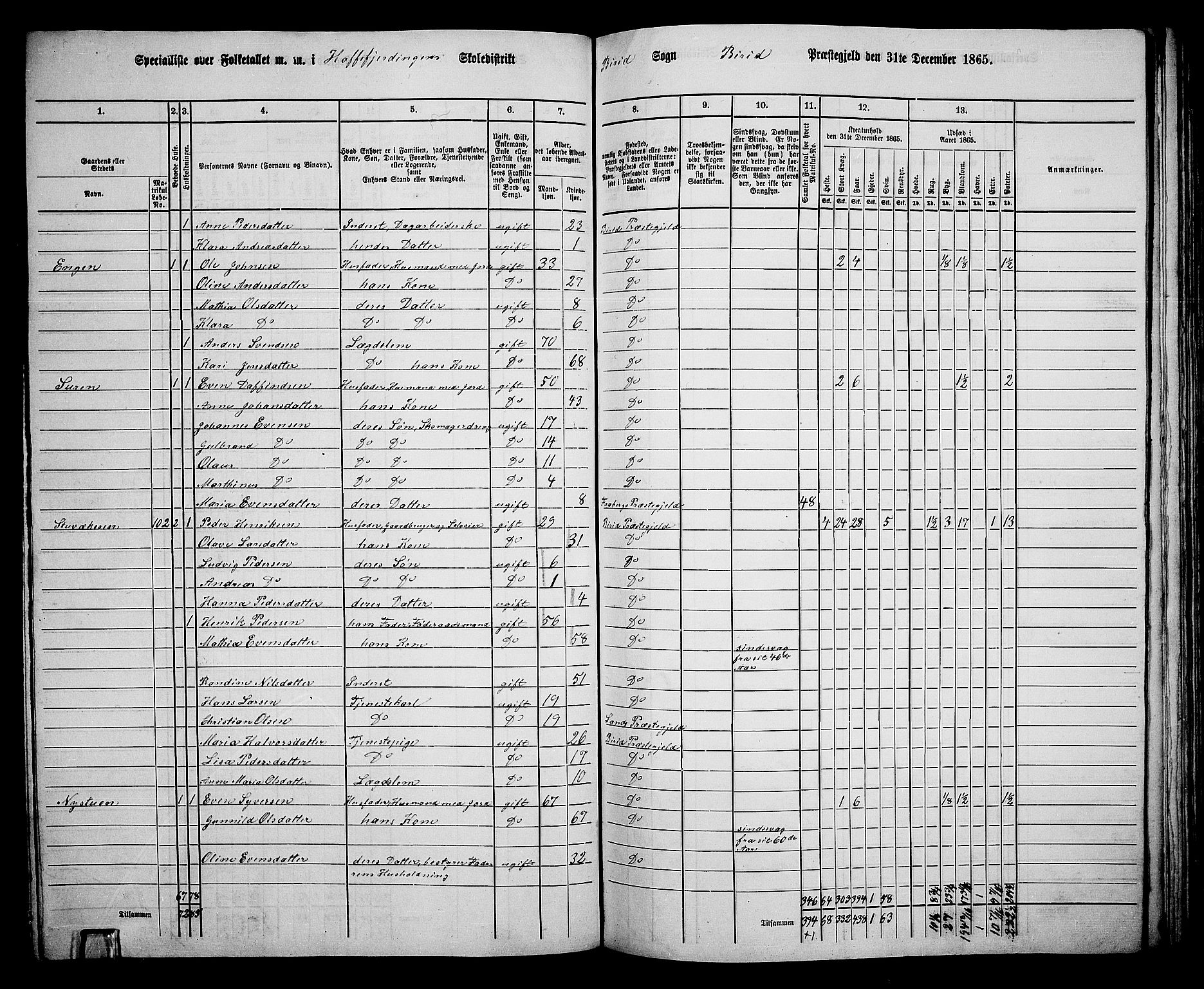 RA, 1865 census for Biri, 1865, p. 102