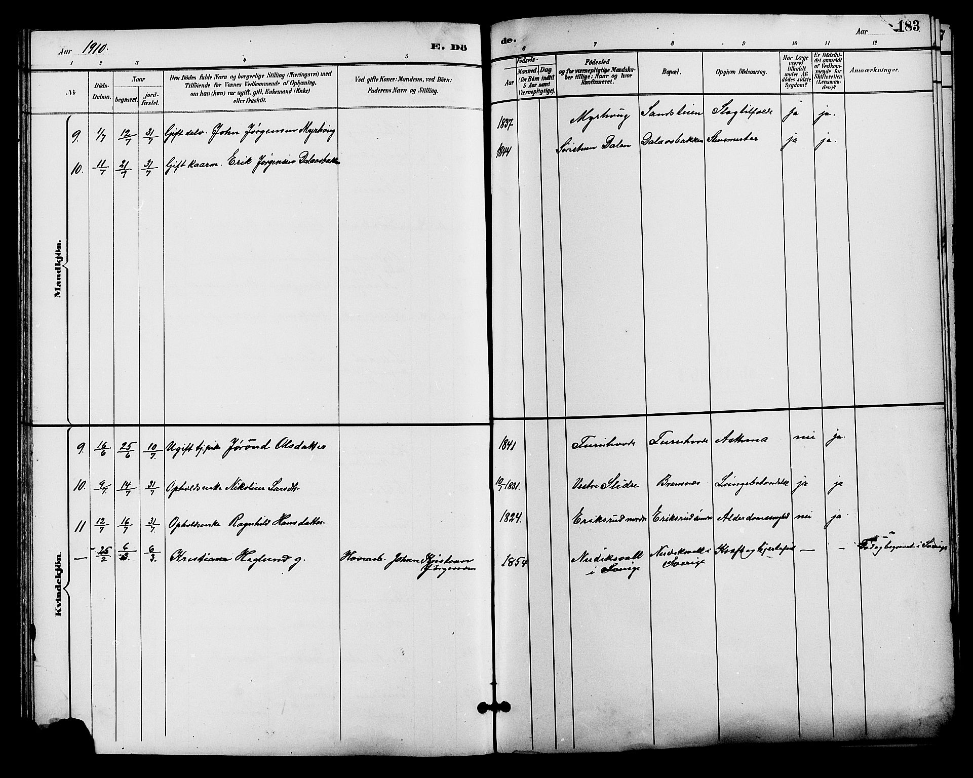 Alvdal prestekontor, SAH/PREST-060/H/Ha/Hab/L0004: Parish register (copy) no. 4, 1894-1910, p. 183