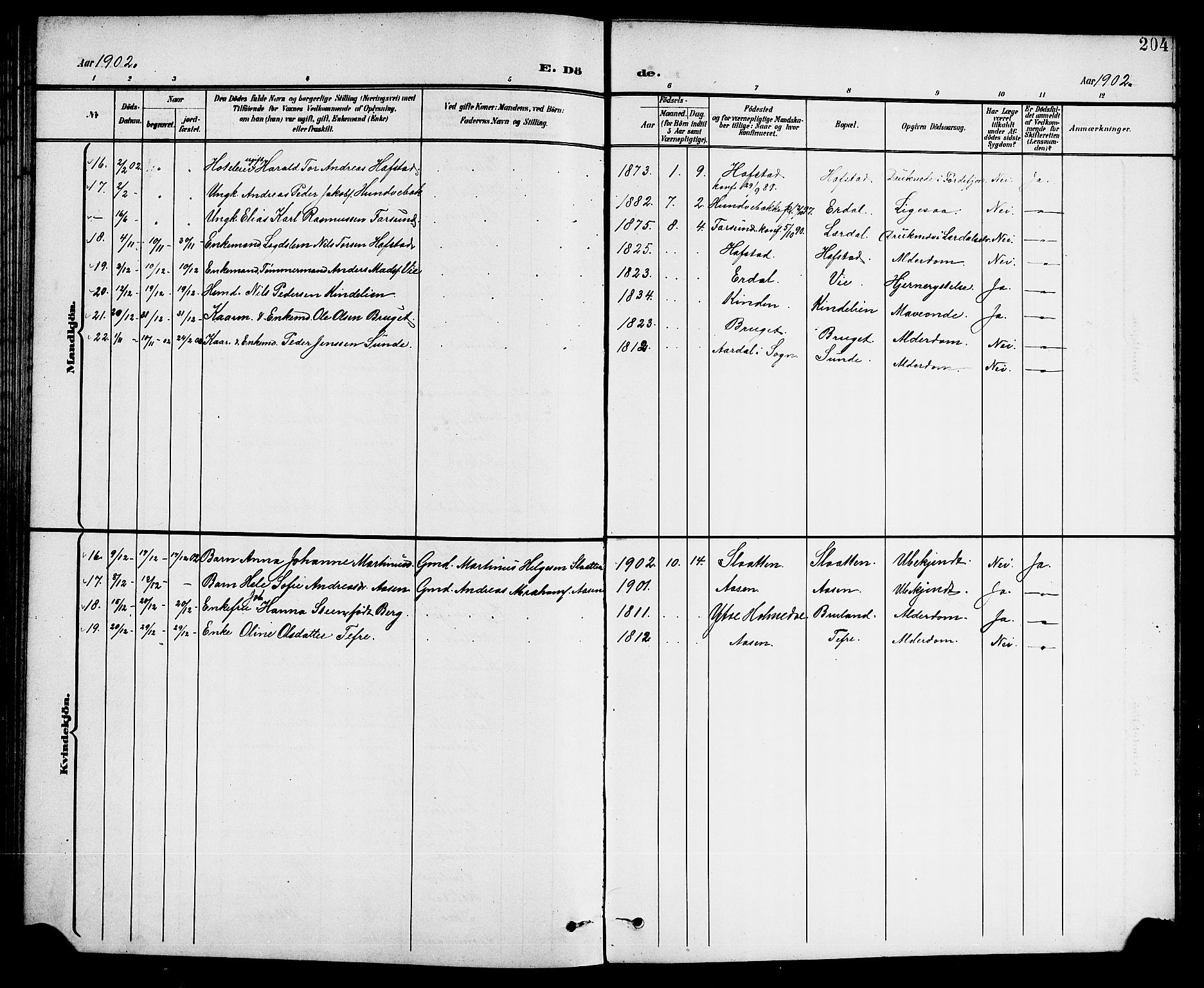 Førde sokneprestembete, SAB/A-79901/H/Hab/Haba/L0003: Parish register (copy) no. A 3, 1899-1924, p. 204