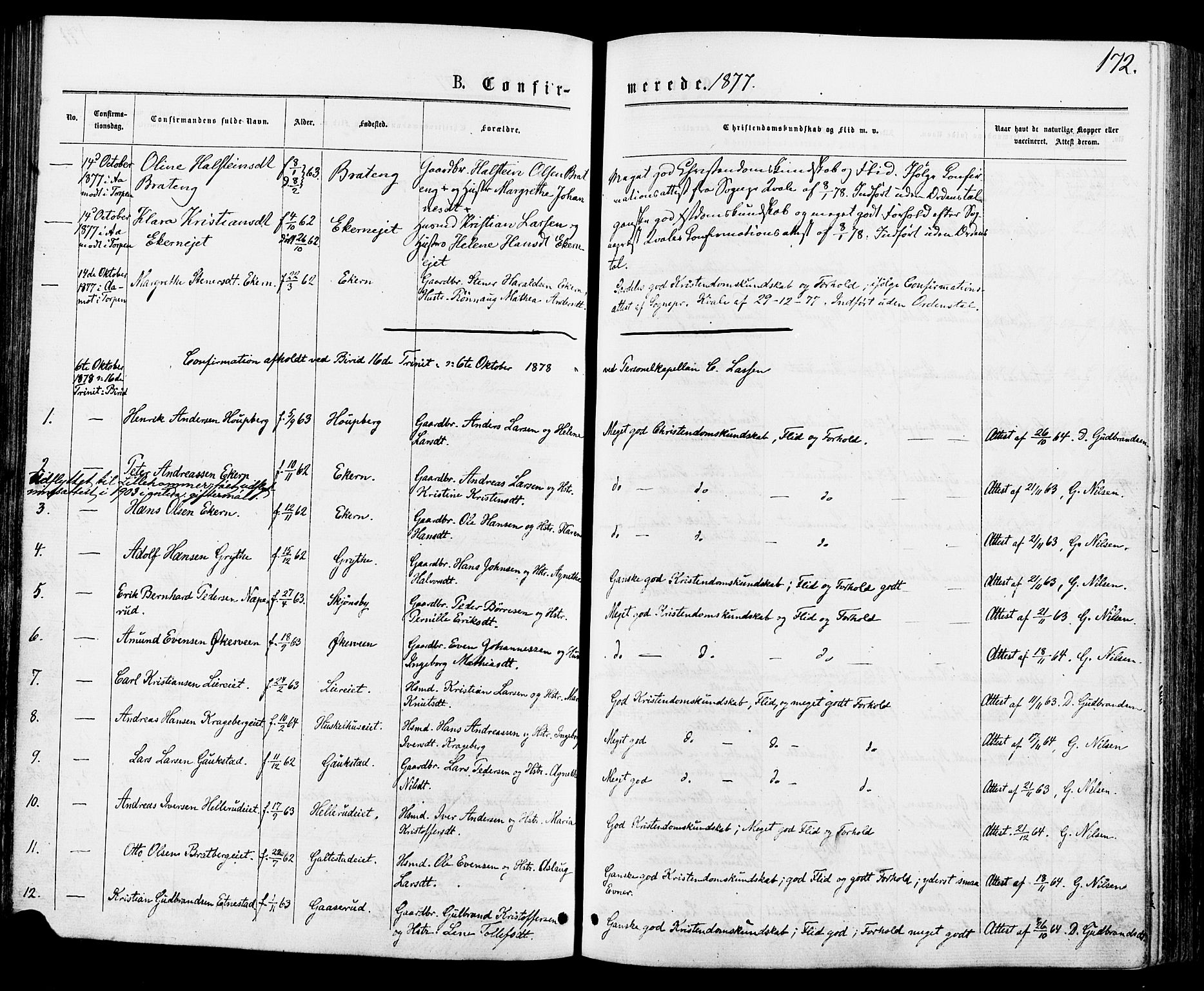 Biri prestekontor, SAH/PREST-096/H/Ha/Haa/L0006: Parish register (official) no. 6, 1877-1886, p. 172
