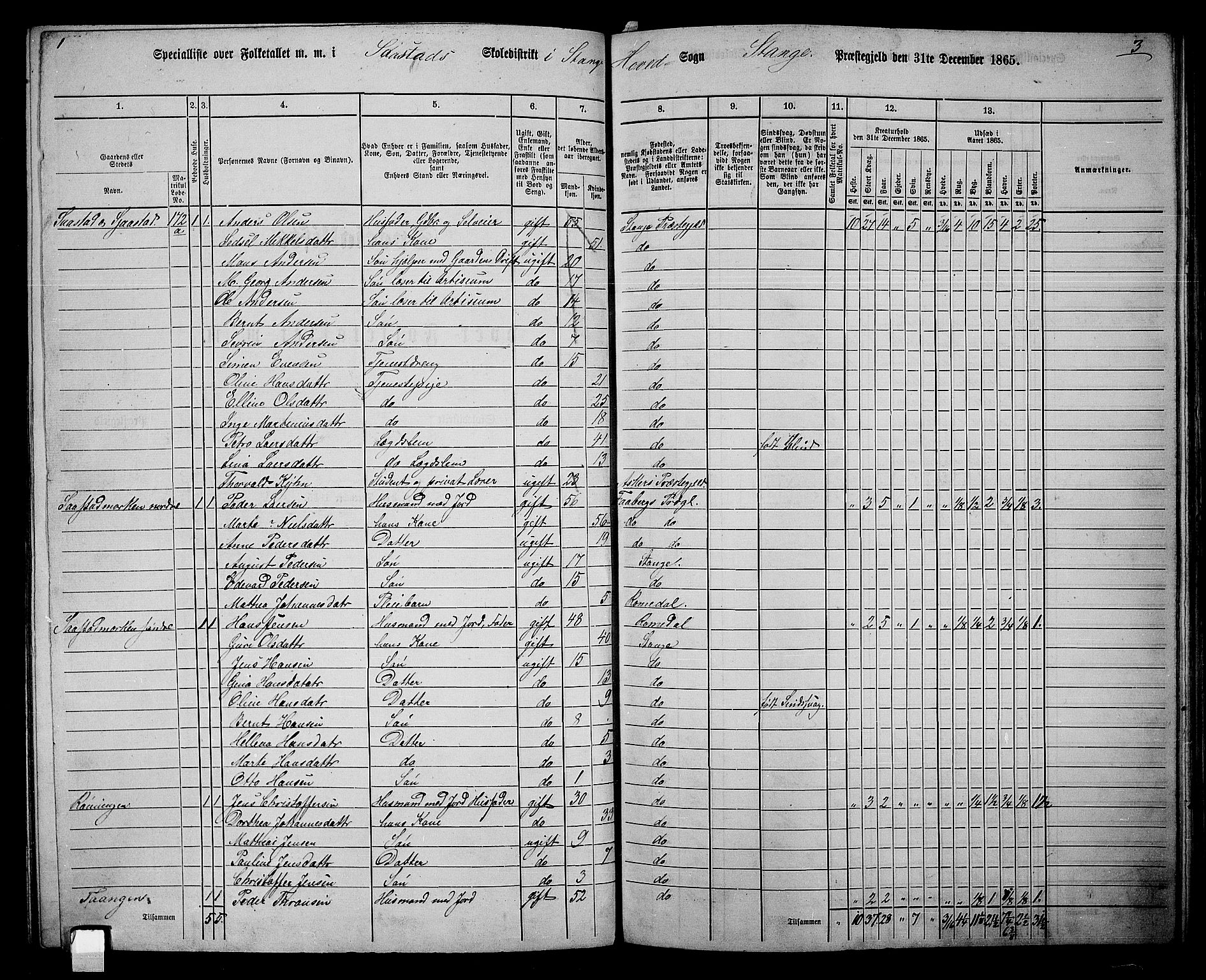 RA, 1865 census for Stange, 1865, p. 153