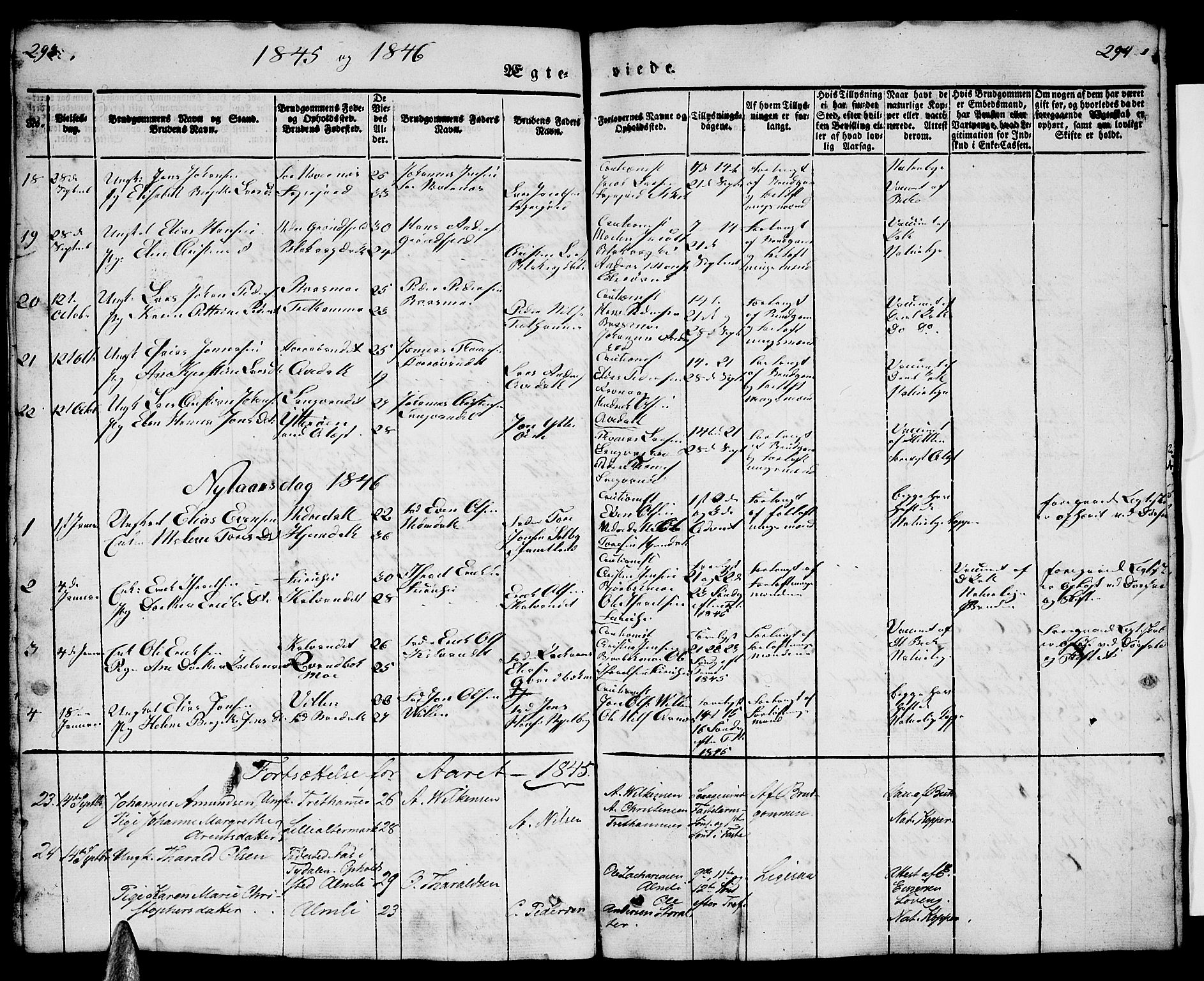 Ministerialprotokoller, klokkerbøker og fødselsregistre - Nordland, SAT/A-1459/827/L0413: Parish register (copy) no. 827C02, 1842-1852, p. 293-294