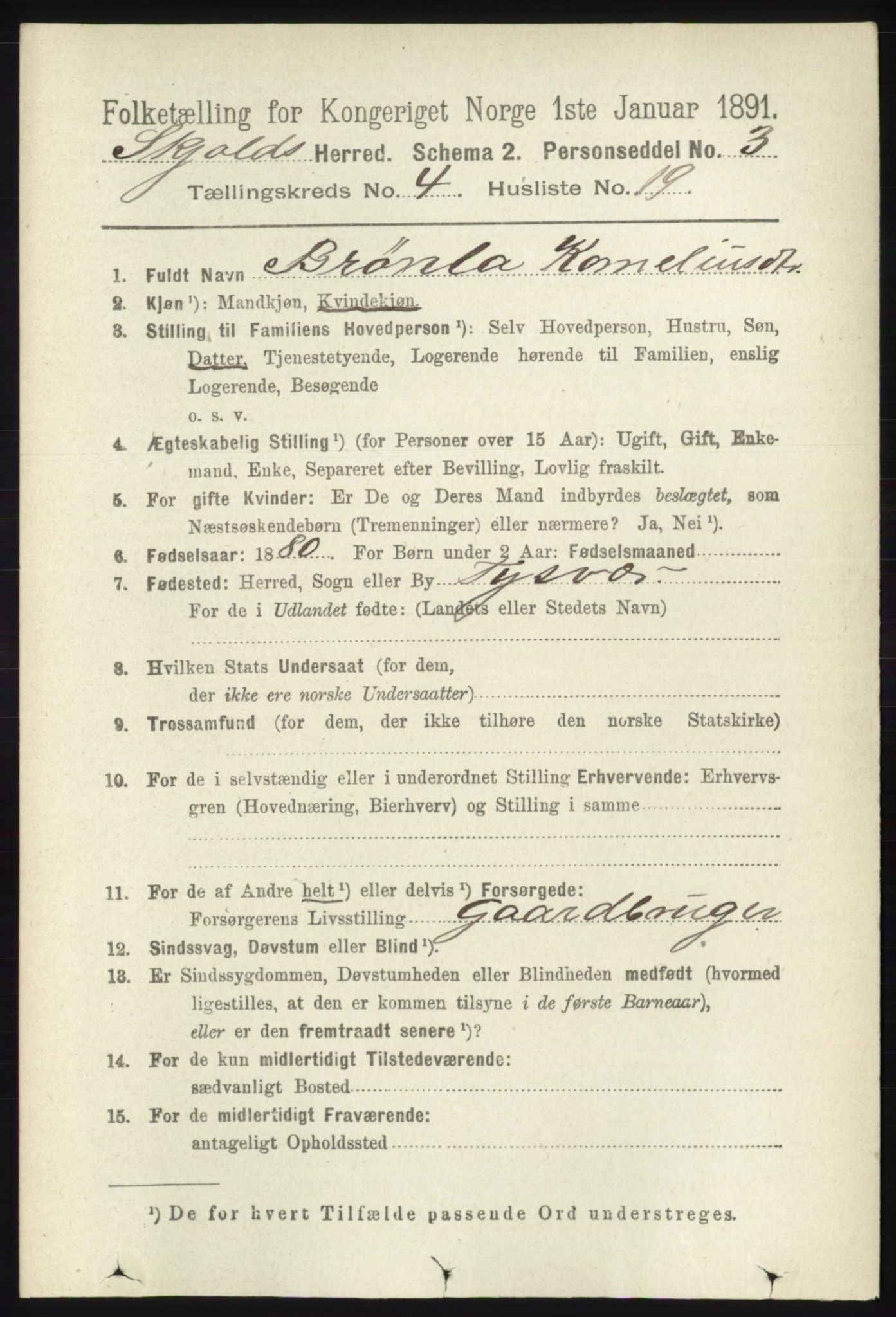 RA, 1891 census for 1154 Skjold, 1891, p. 632