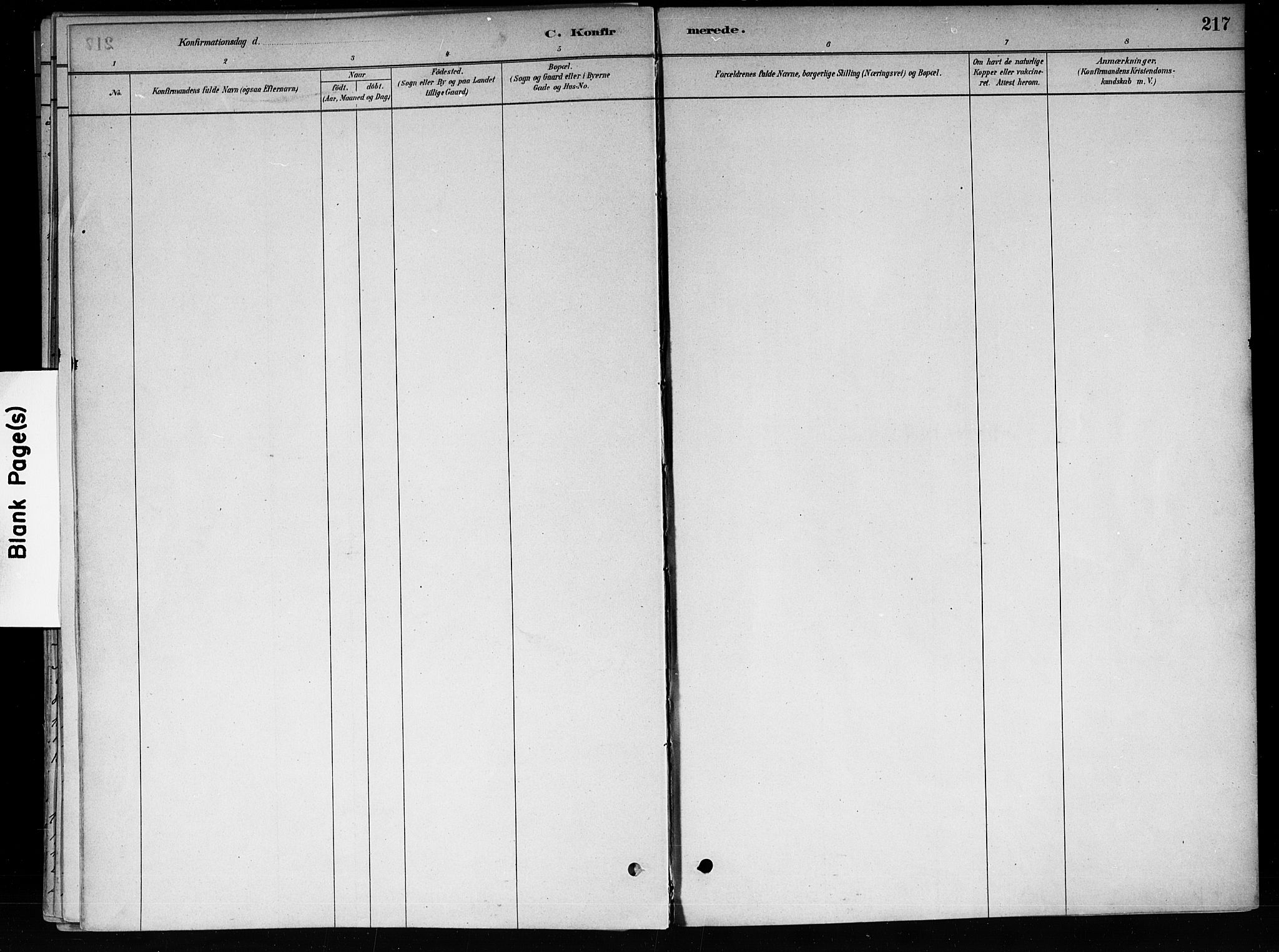 Røyken kirkebøker, SAKO/A-241/F/Fa/L0008: Parish register (official) no. 8, 1880-1897, p. 217