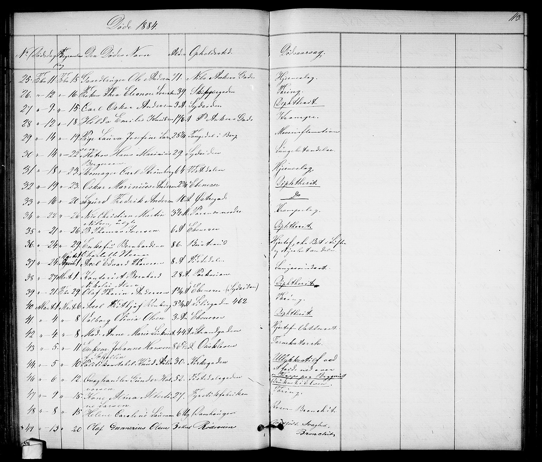 Halden prestekontor Kirkebøker, SAO/A-10909/G/Ga/L0007: Parish register (copy) no. 7, 1869-1884, p. 113