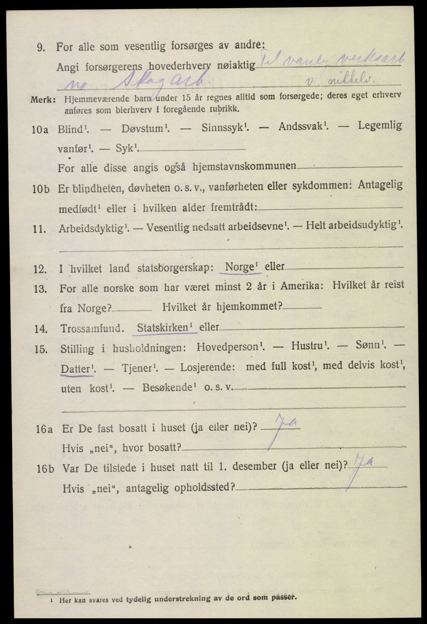 SAK, 1920 census for Hornnes, 1920, p. 1002