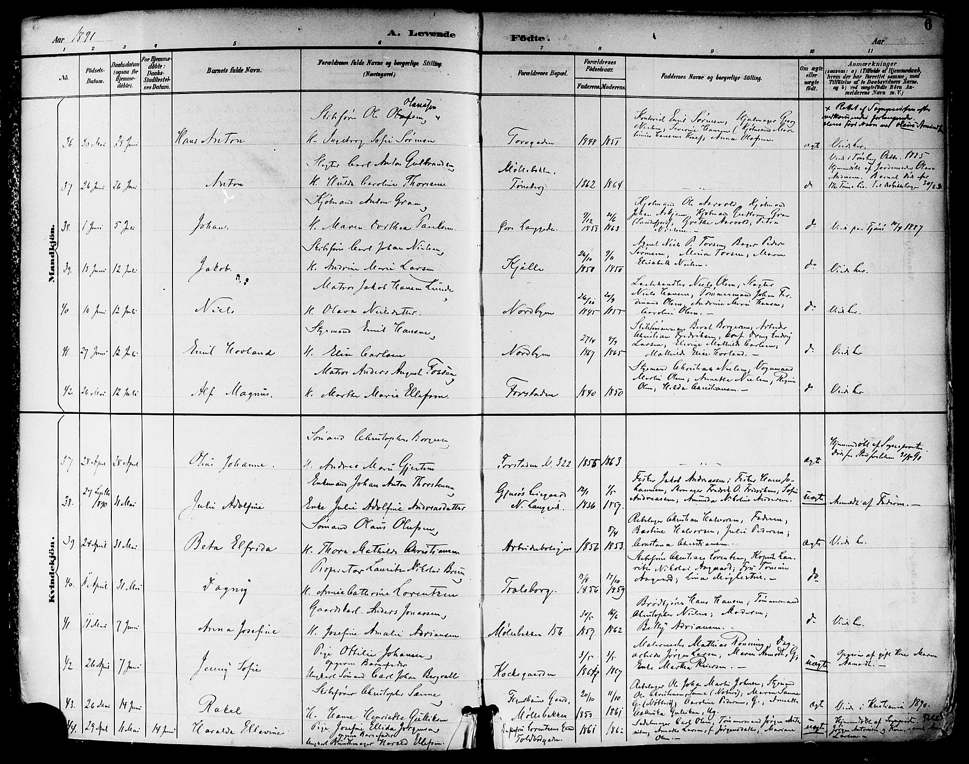 Tønsberg kirkebøker, AV/SAKO-A-330/F/Fa/L0012: Parish register (official) no. I 12, 1891-1899, p. 6