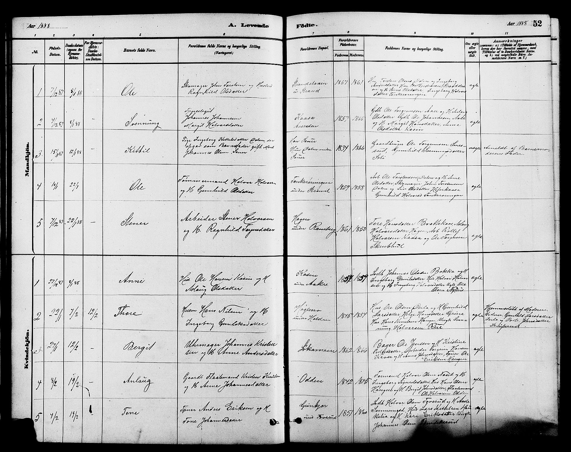 Heddal kirkebøker, SAKO/A-268/G/Ga/L0002: Parish register (copy) no. I 2, 1879-1908, p. 52