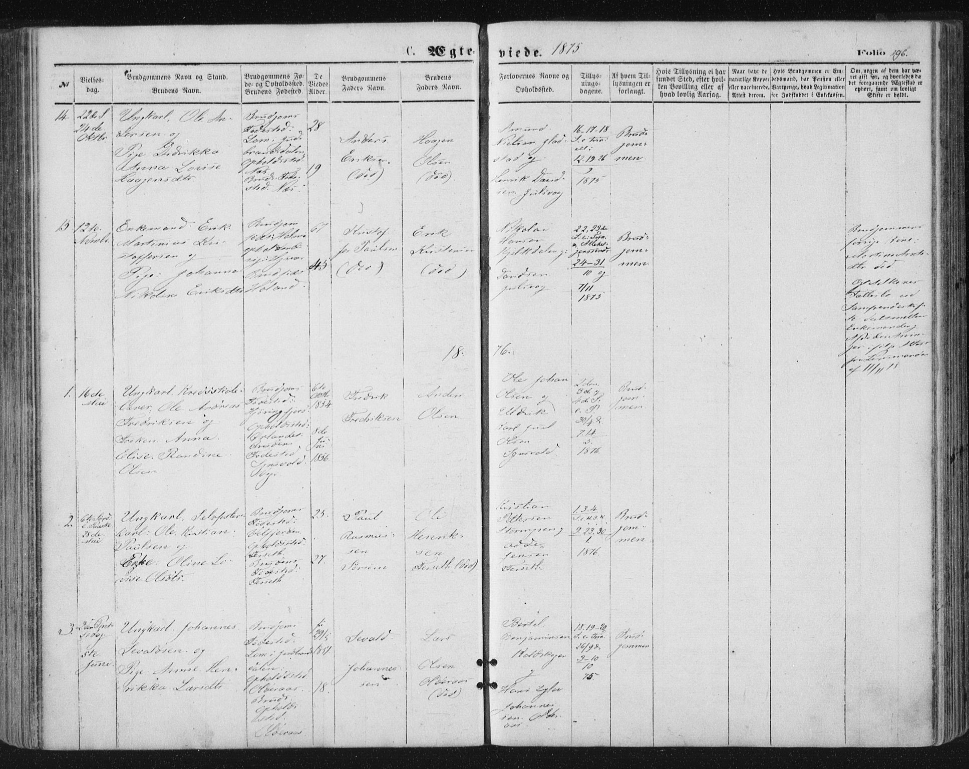 Ministerialprotokoller, klokkerbøker og fødselsregistre - Nordland, SAT/A-1459/816/L0241: Parish register (official) no. 816A07, 1870-1885, p. 196