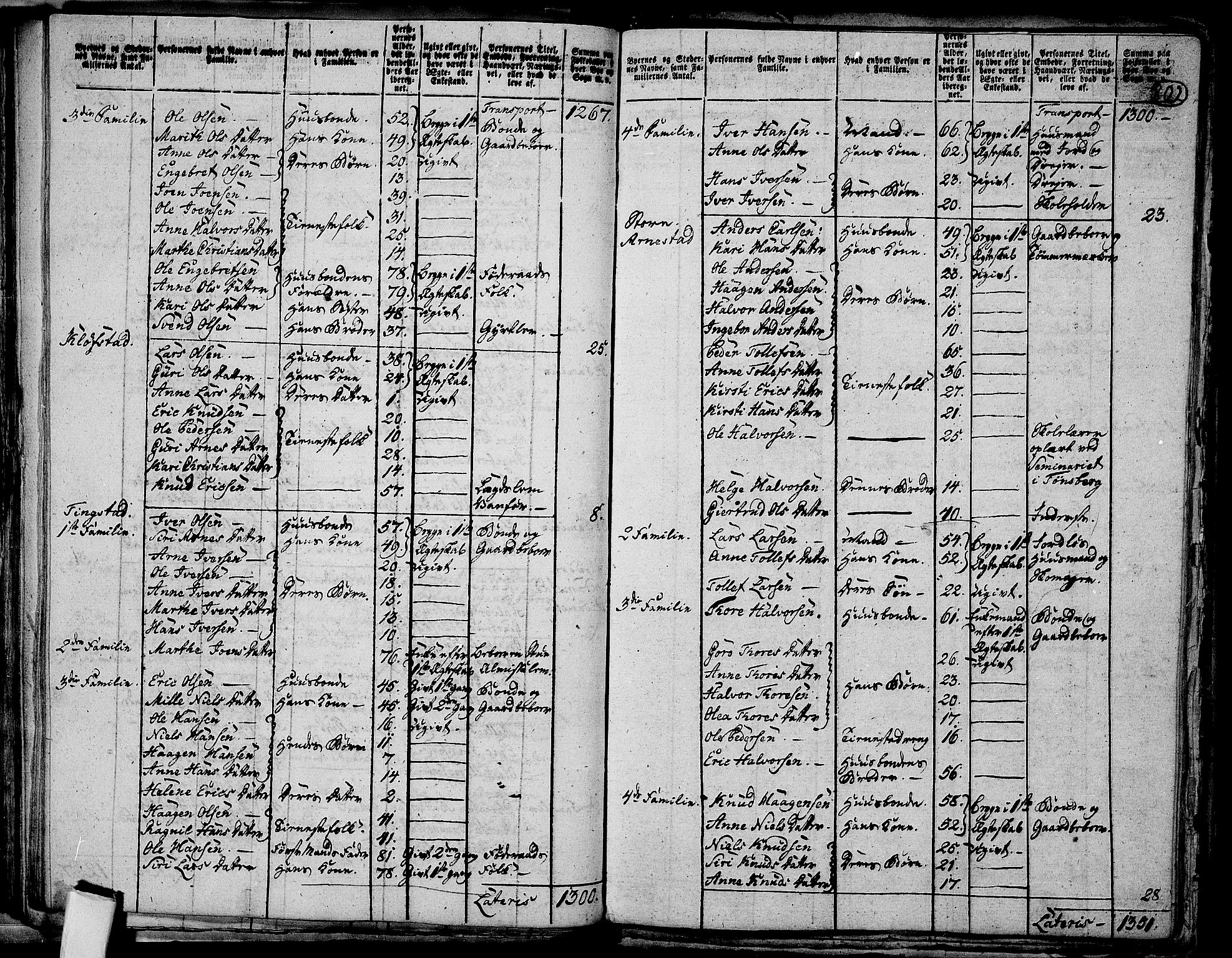 RA, 1801 census for 0429P Åmot, 1801, p. 801b-802a