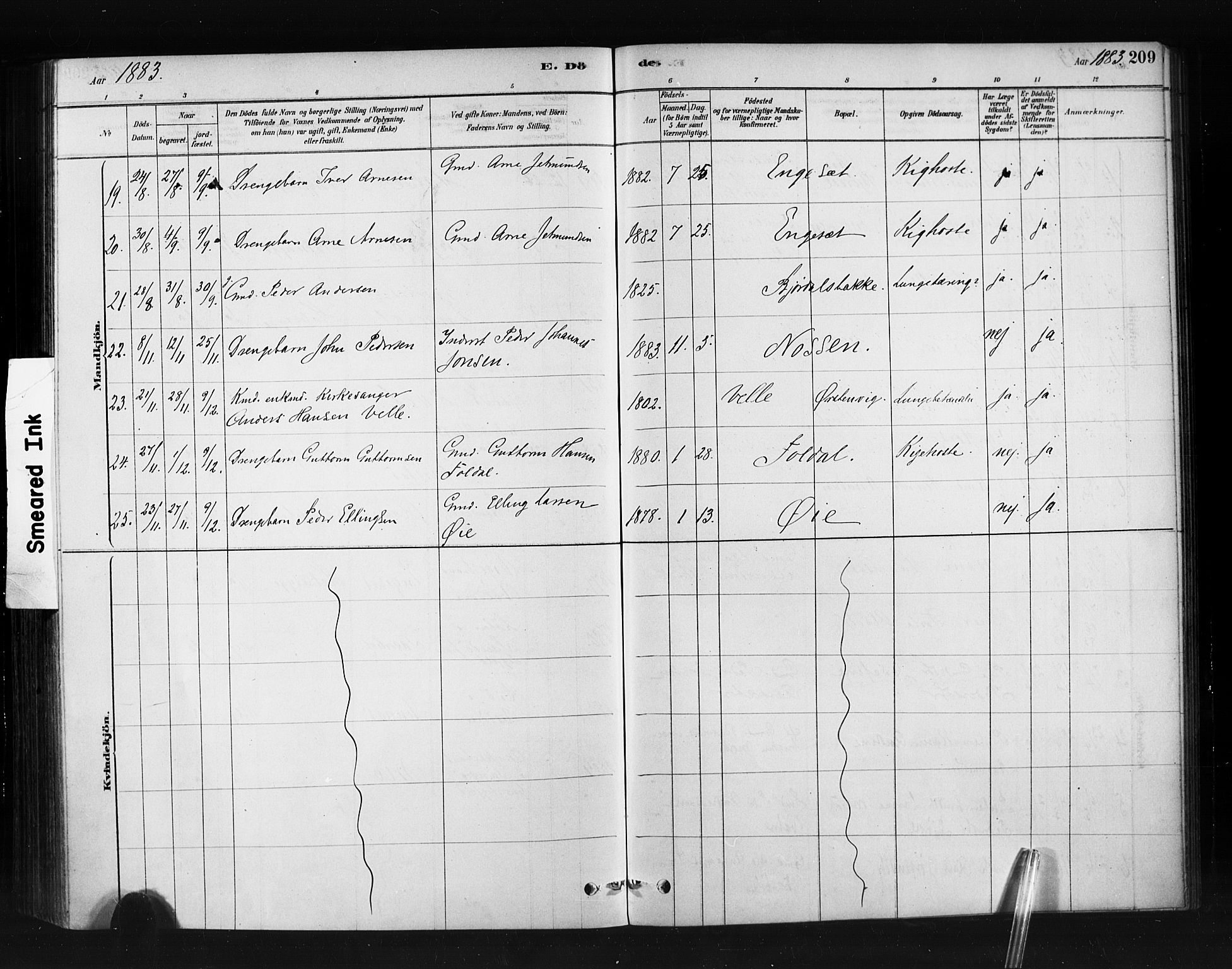 Ministerialprotokoller, klokkerbøker og fødselsregistre - Møre og Romsdal, AV/SAT-A-1454/513/L0176: Parish register (official) no. 513A03, 1877-1889, p. 209