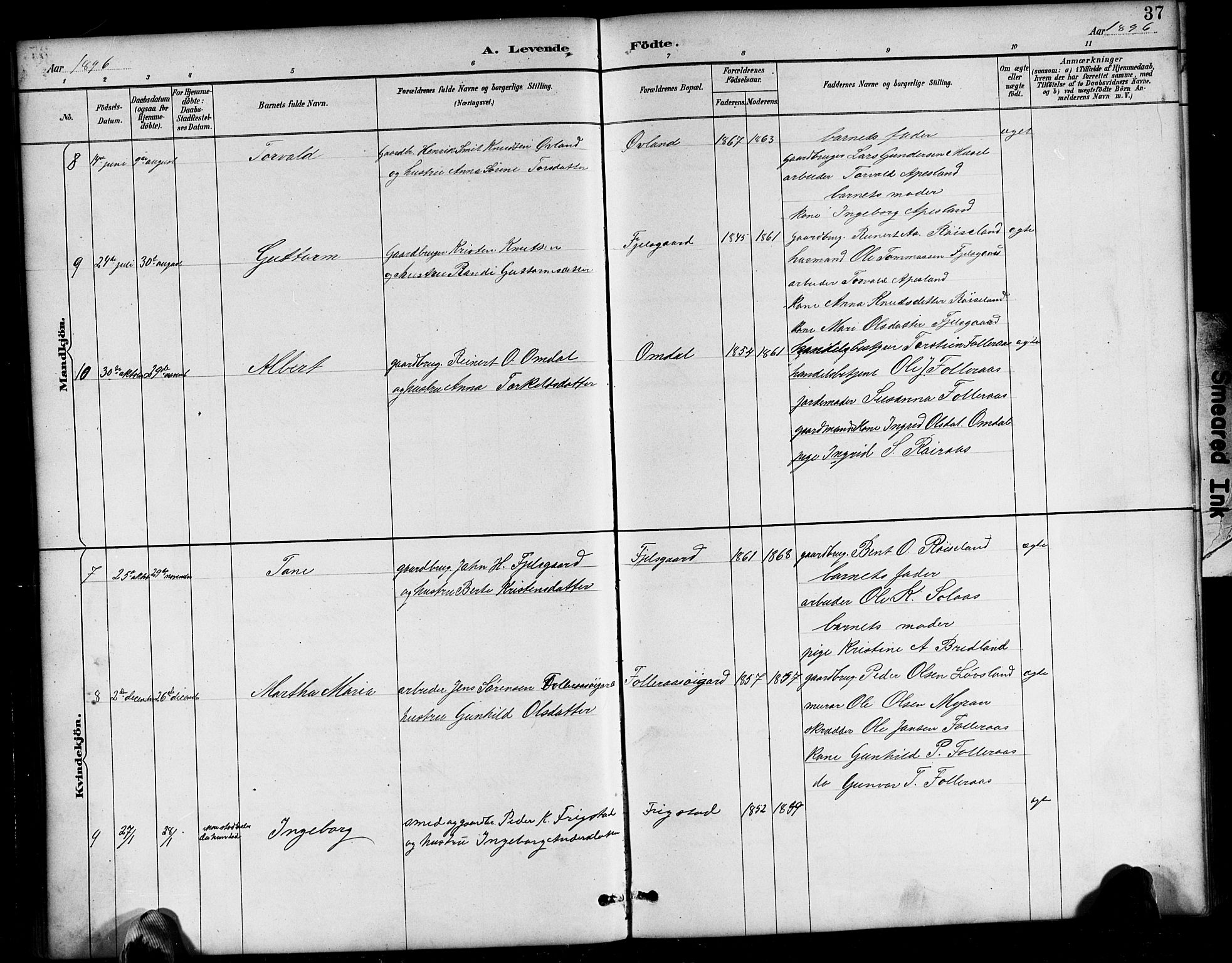 Bjelland sokneprestkontor, AV/SAK-1111-0005/F/Fb/Fbb/L0005: Parish register (copy) no. B 5, 1887-1918, p. 37