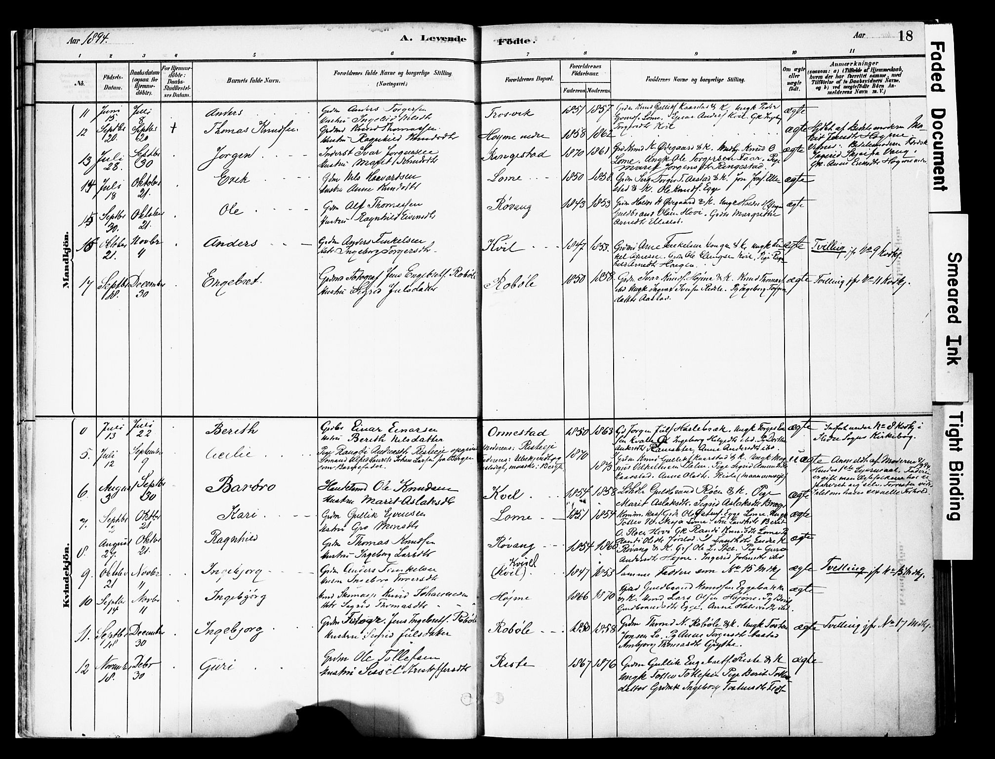 Vestre Slidre prestekontor, SAH/PREST-136/H/Ha/Haa/L0005: Parish register (official) no. 5, 1881-1912, p. 18