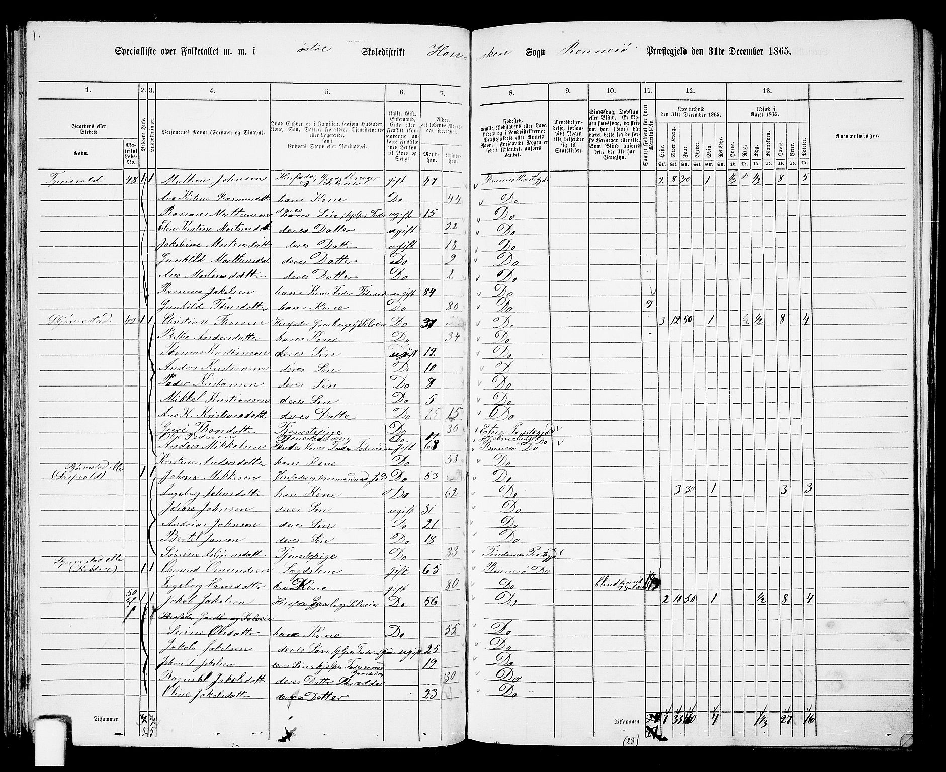 RA, 1865 census for Rennesøy, 1865, p. 43