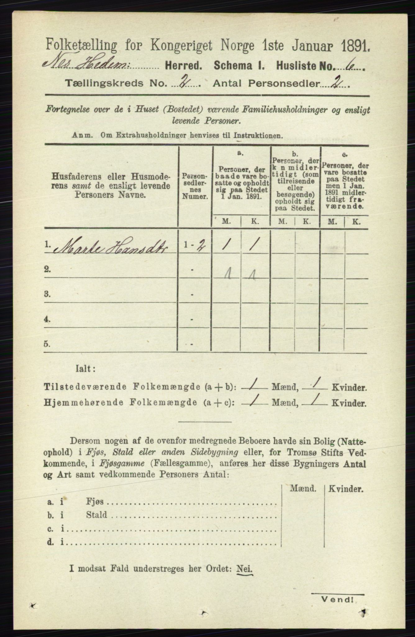 RA, 1891 census for 0411 Nes, 1891, p. 1009