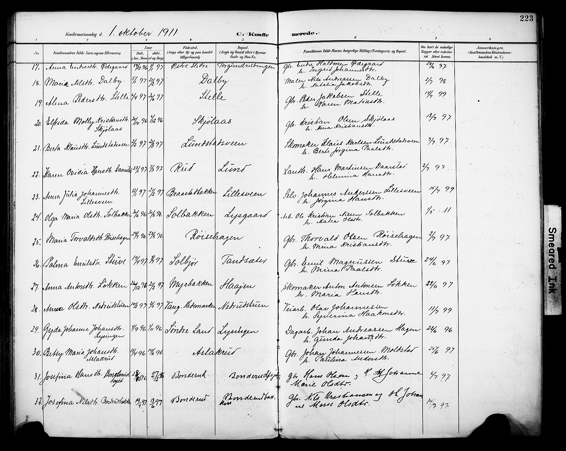 Vestre Toten prestekontor, SAH/PREST-108/H/Ha/Haa/L0013: Parish register (official) no. 13, 1895-1911, p. 223