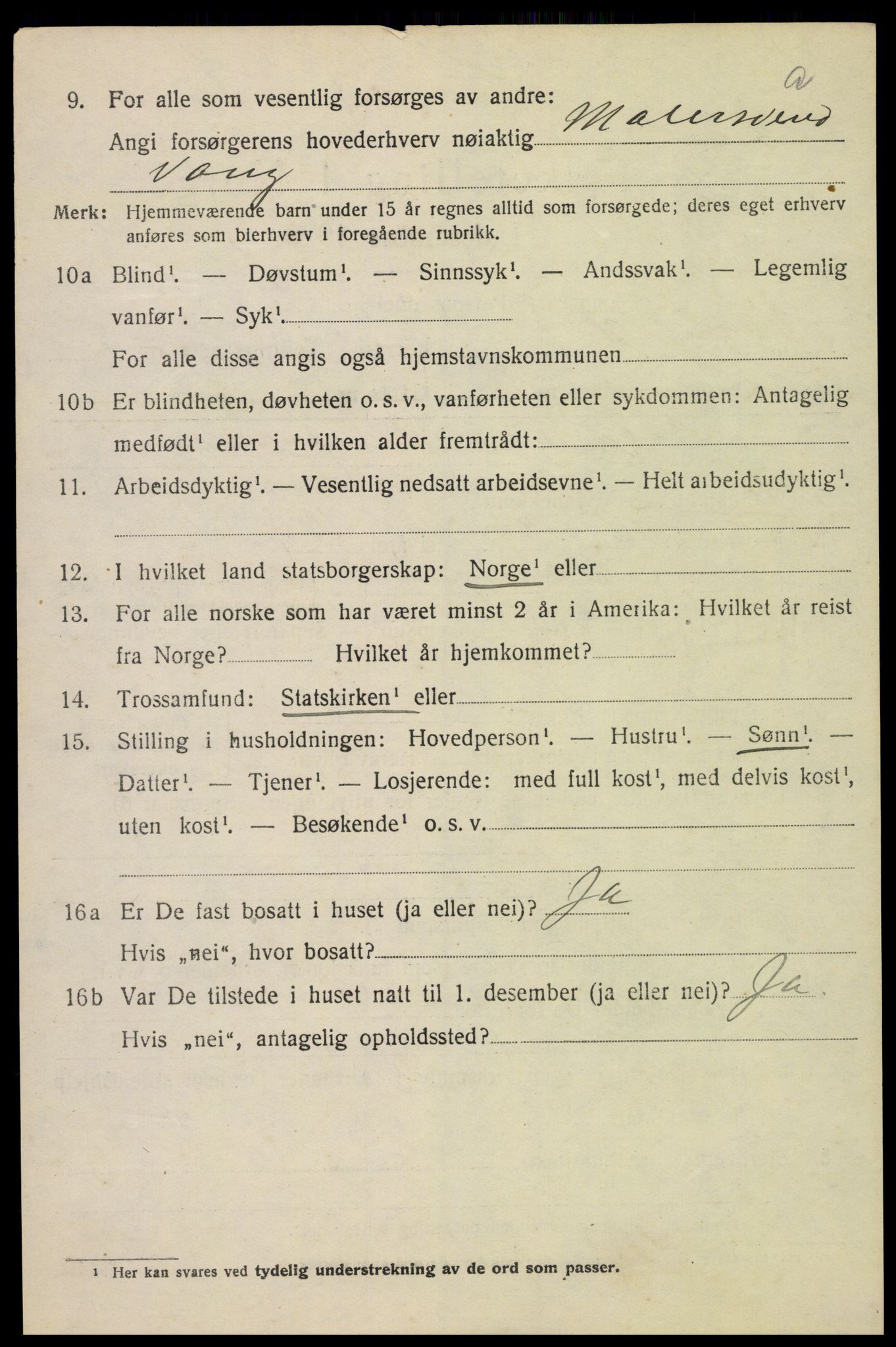 SAH, 1920 census for Vang (Hedmark), 1920, p. 15028