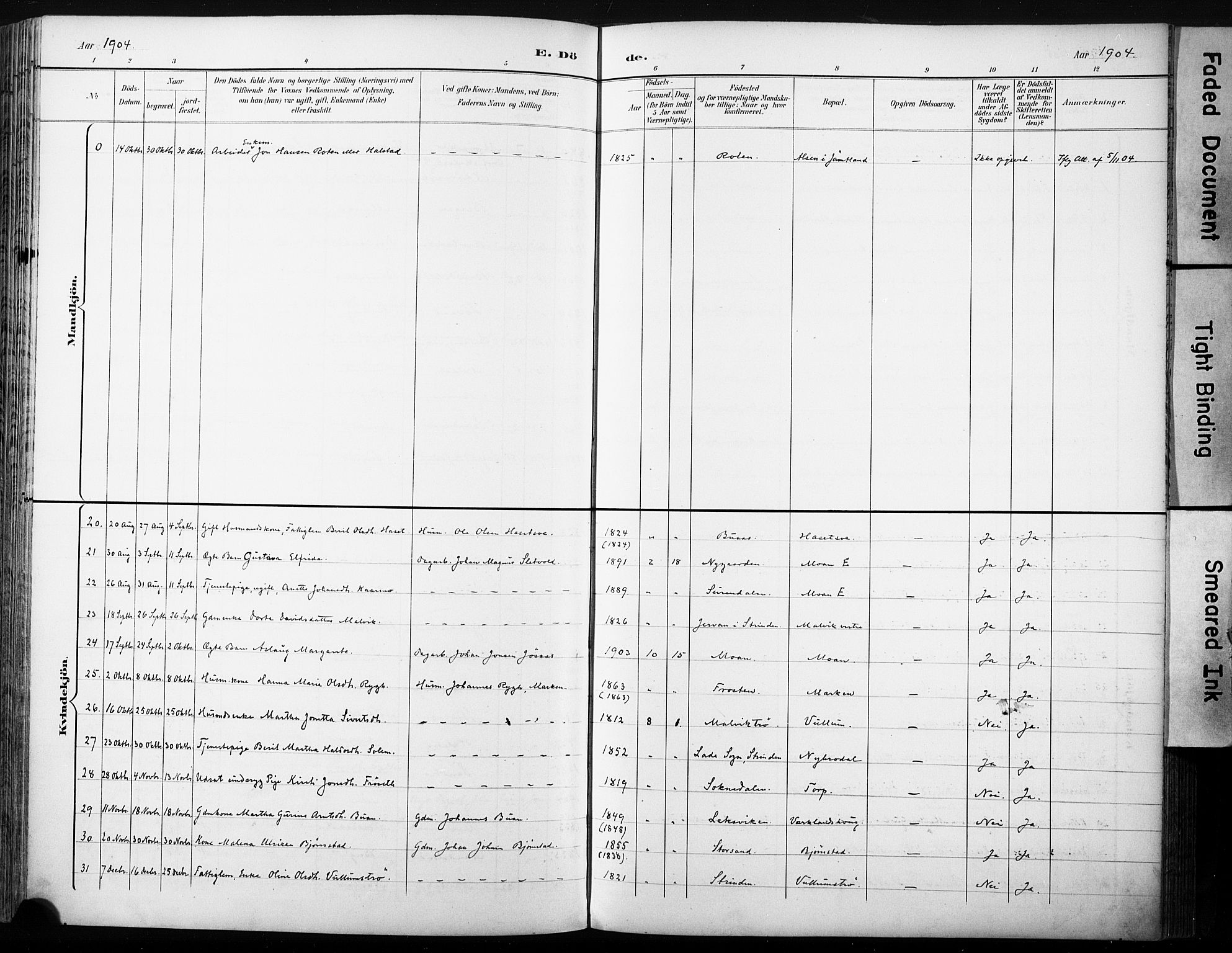 Ministerialprotokoller, klokkerbøker og fødselsregistre - Sør-Trøndelag, SAT/A-1456/616/L0411: Parish register (official) no. 616A08, 1894-1906