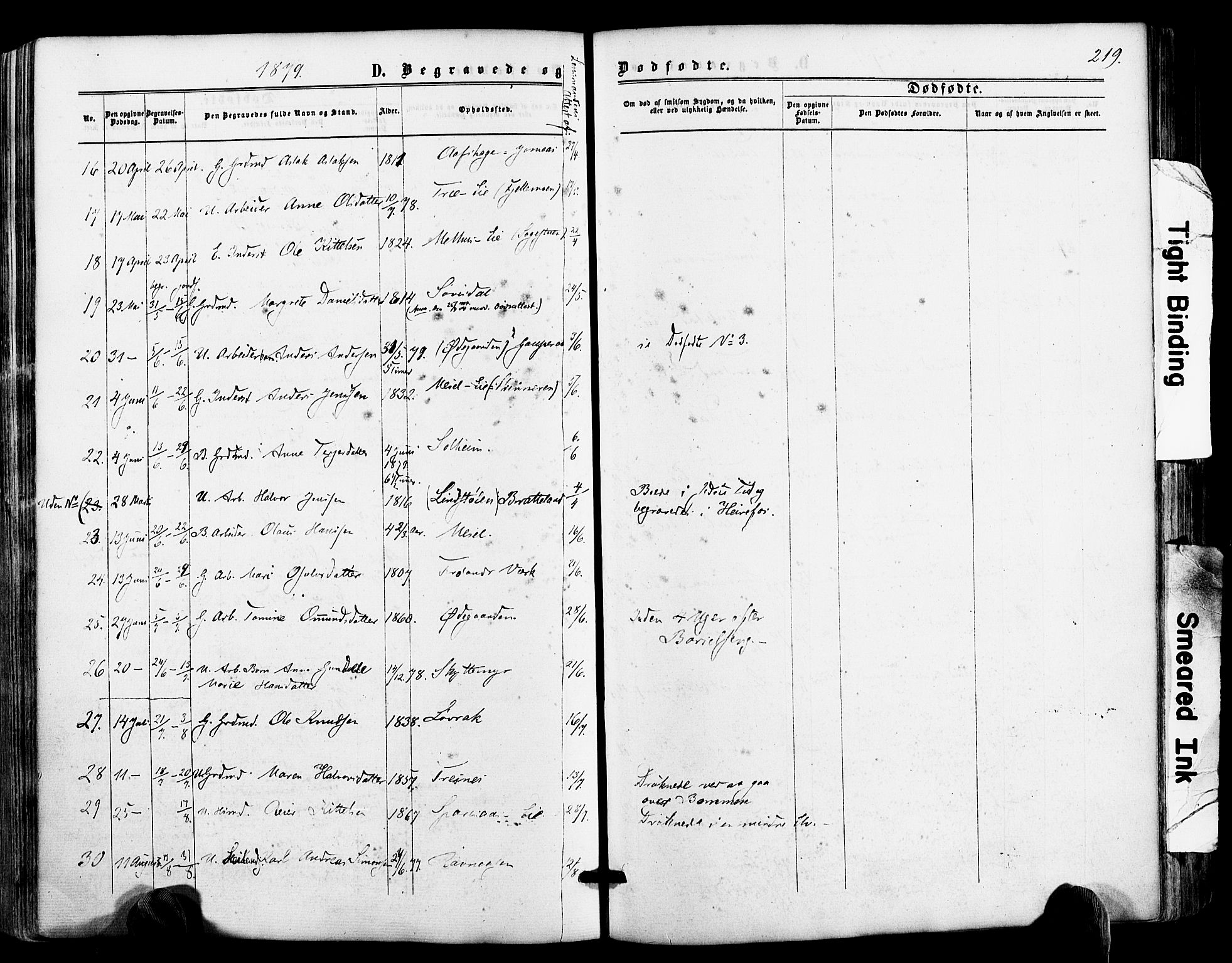 Froland sokneprestkontor, AV/SAK-1111-0013/F/Fa/L0003: Parish register (official) no. A 3, 1864-1881, p. 219