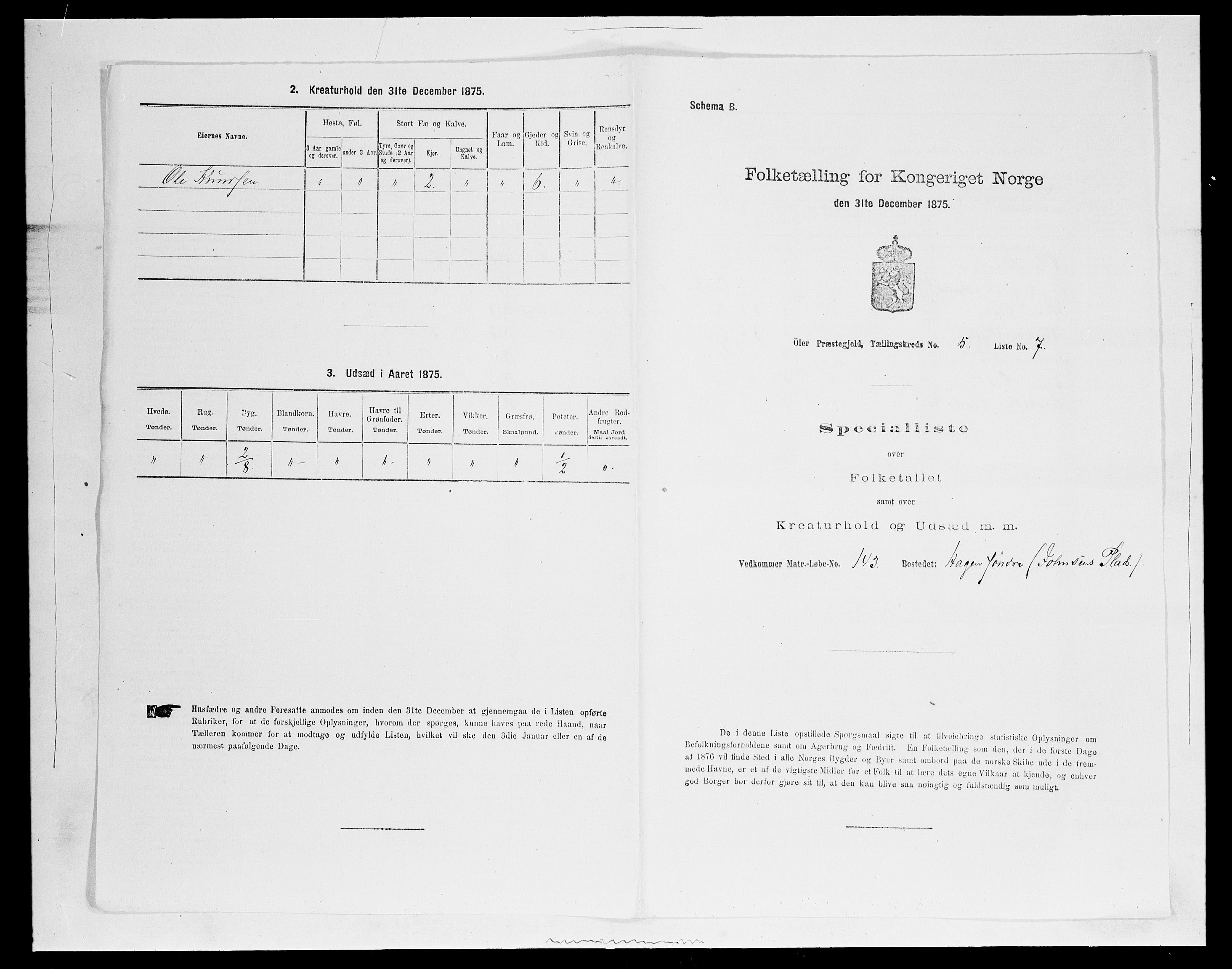 SAH, 1875 census for 0521P Øyer, 1875, p. 968