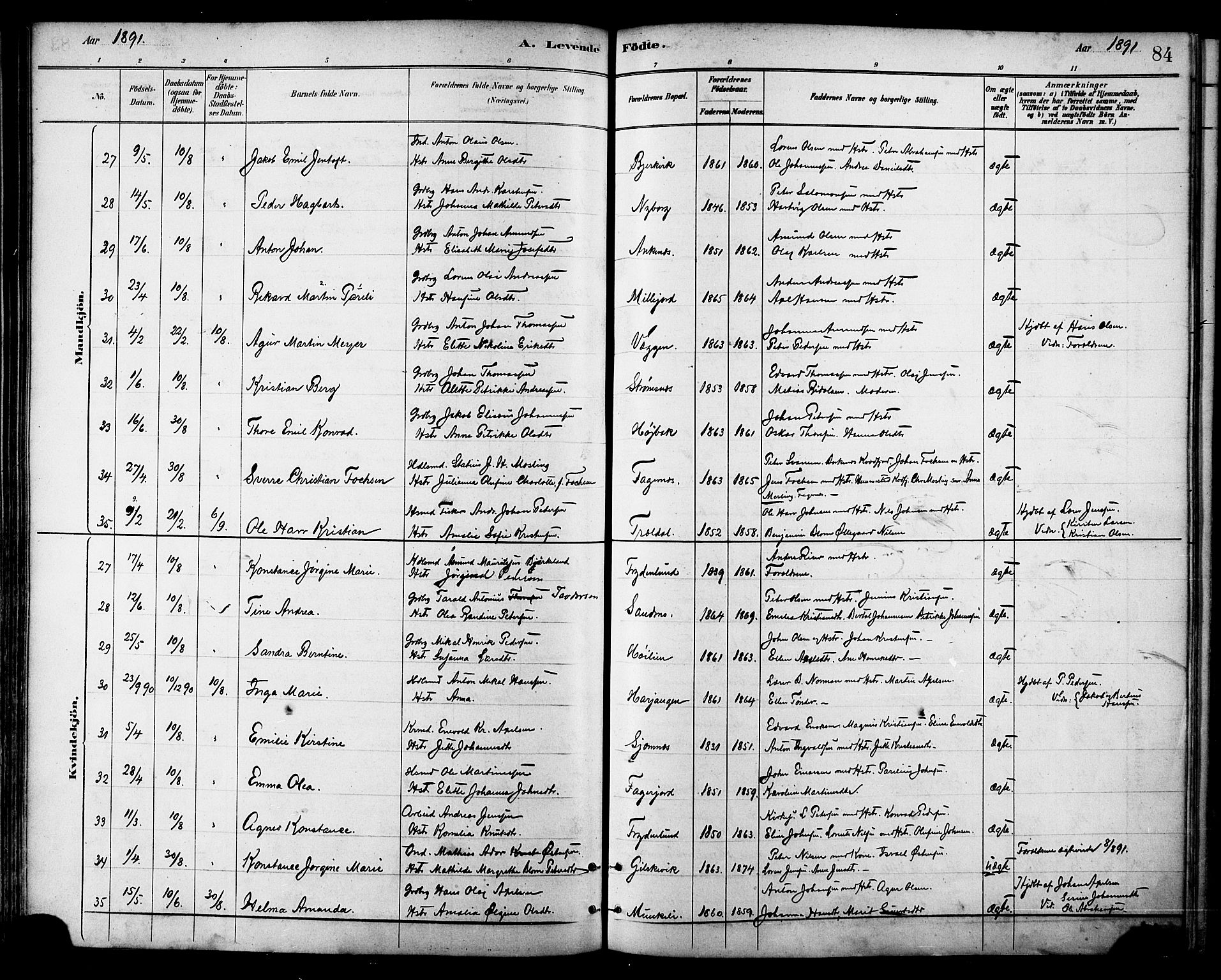 Ministerialprotokoller, klokkerbøker og fødselsregistre - Nordland, AV/SAT-A-1459/866/L0938: Parish register (official) no. 866A01, 1879-1893, p. 84