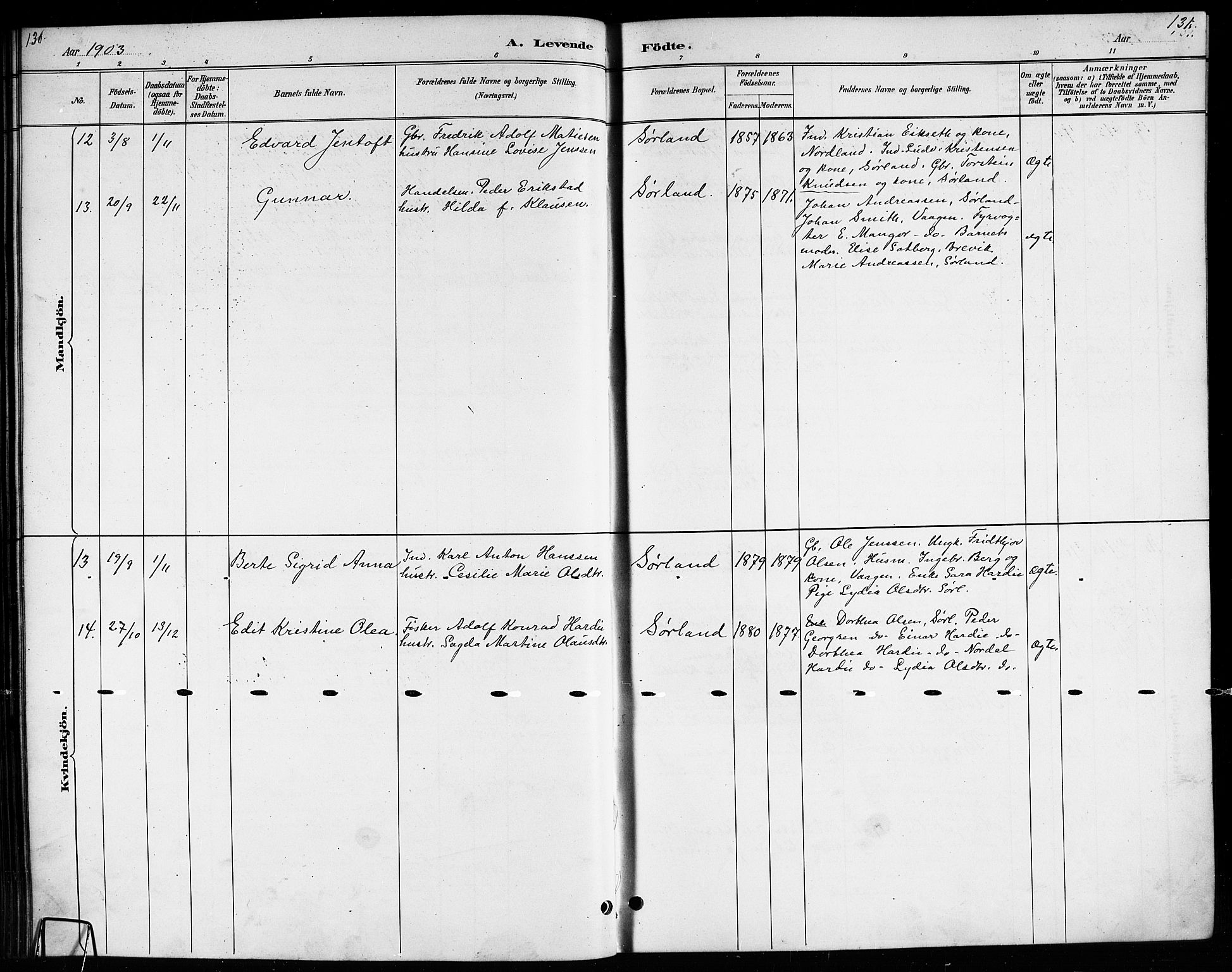 Ministerialprotokoller, klokkerbøker og fødselsregistre - Nordland, AV/SAT-A-1459/807/L0123: Parish register (copy) no. 807C01, 1884-1910, p. 130-131