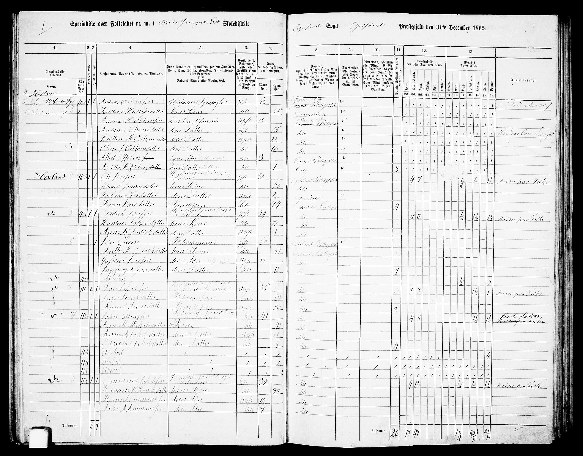 RA, 1865 census for Eigersund/Eigersund og Ogna, 1865, p. 40