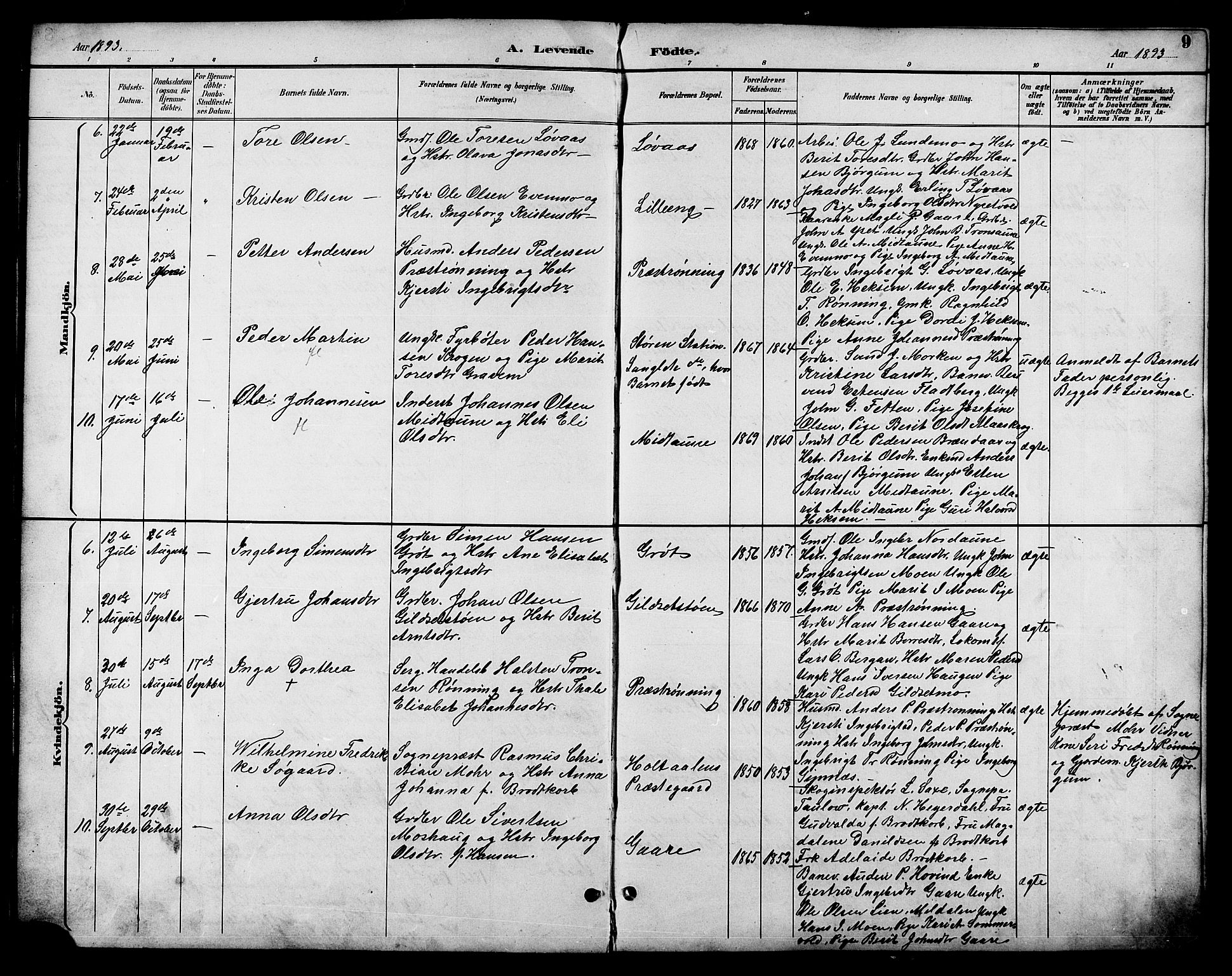 Ministerialprotokoller, klokkerbøker og fødselsregistre - Sør-Trøndelag, SAT/A-1456/685/L0978: Parish register (copy) no. 685C03, 1891-1907, p. 9