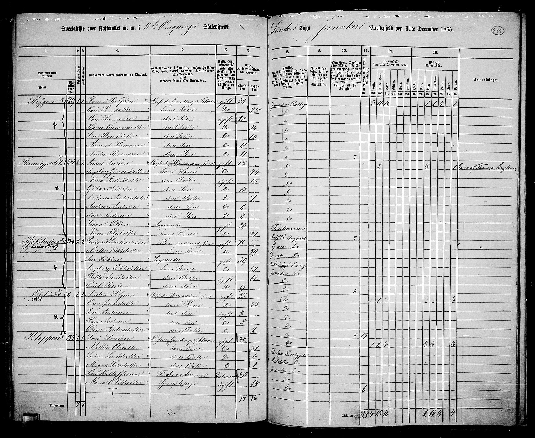 RA, 1865 census for Jevnaker, 1865, p. 219