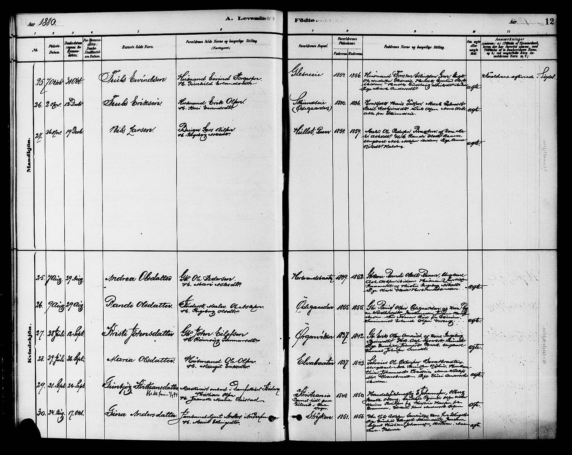 Krødsherad kirkebøker, AV/SAKO-A-19/G/Ga/L0001: Parish register (copy) no. 1, 1879-1893, p. 12
