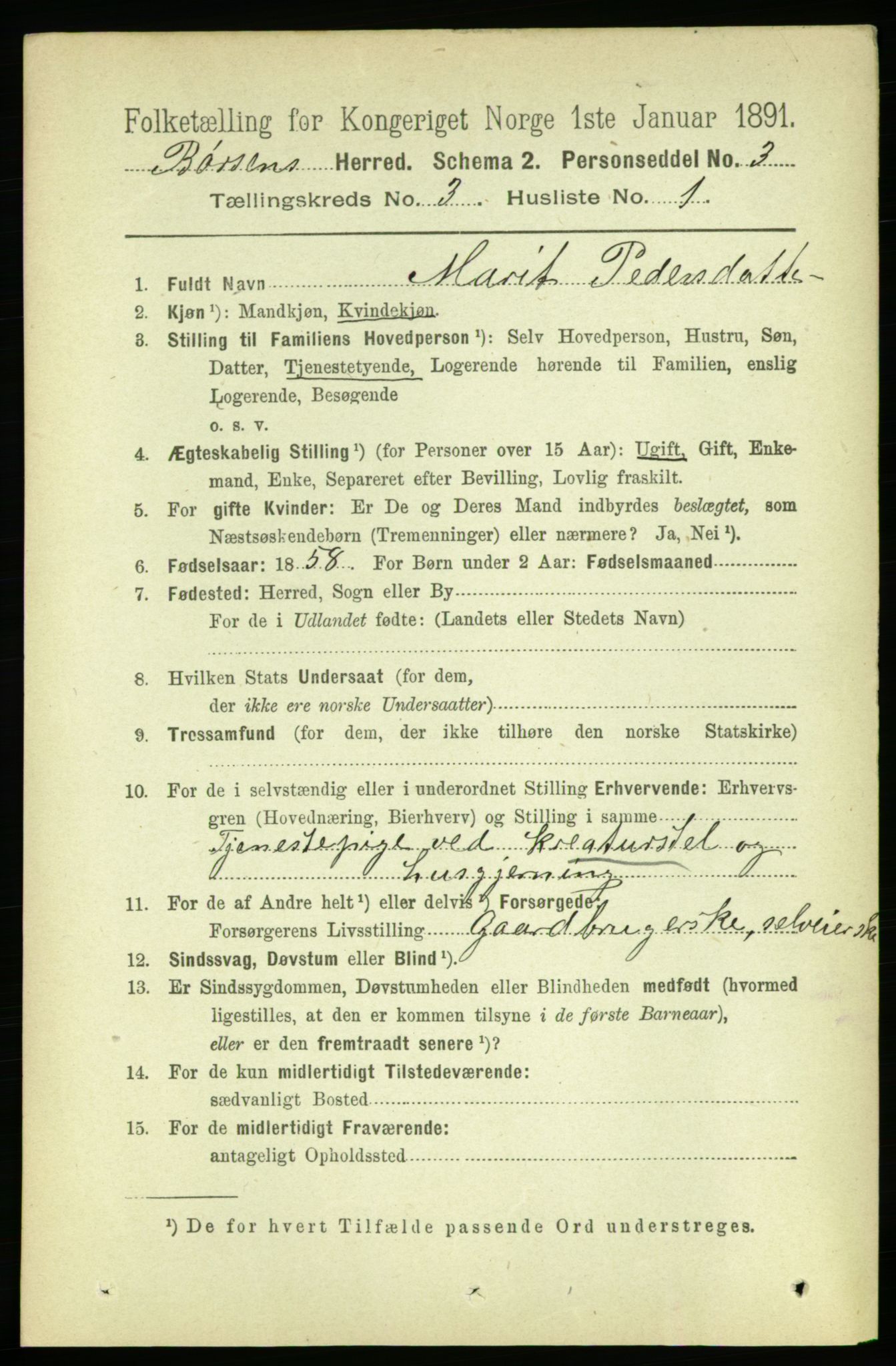 RA, 1891 census for 1658 Børsa, 1891, p. 883