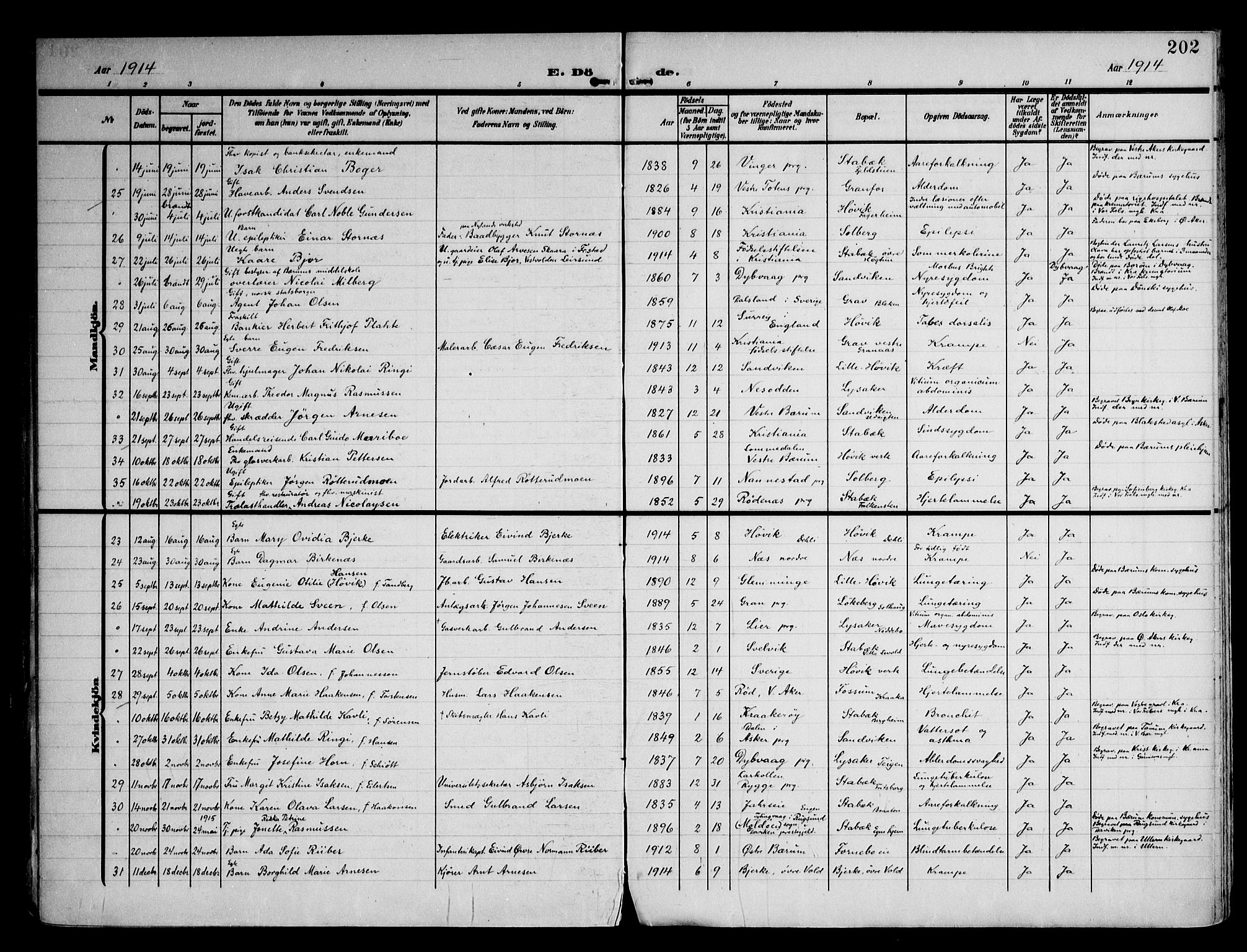 Østre Bærum prestekontor Kirkebøker, AV/SAO-A-10887/F/Fa/L0001: Parish register (official) no. 1, 1905-1924, p. 202