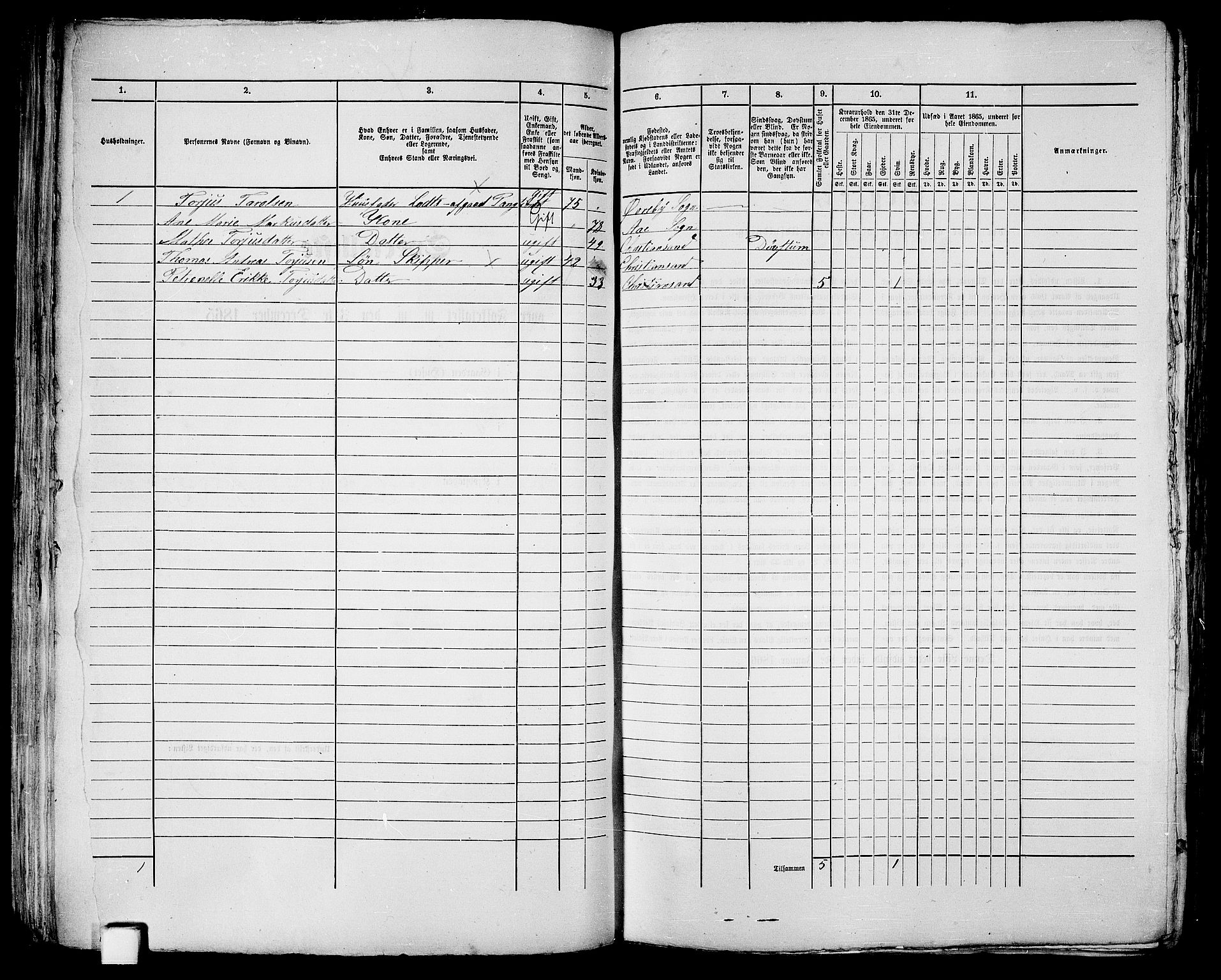 RA, 1865 census for Kristiansand, 1865, p. 135