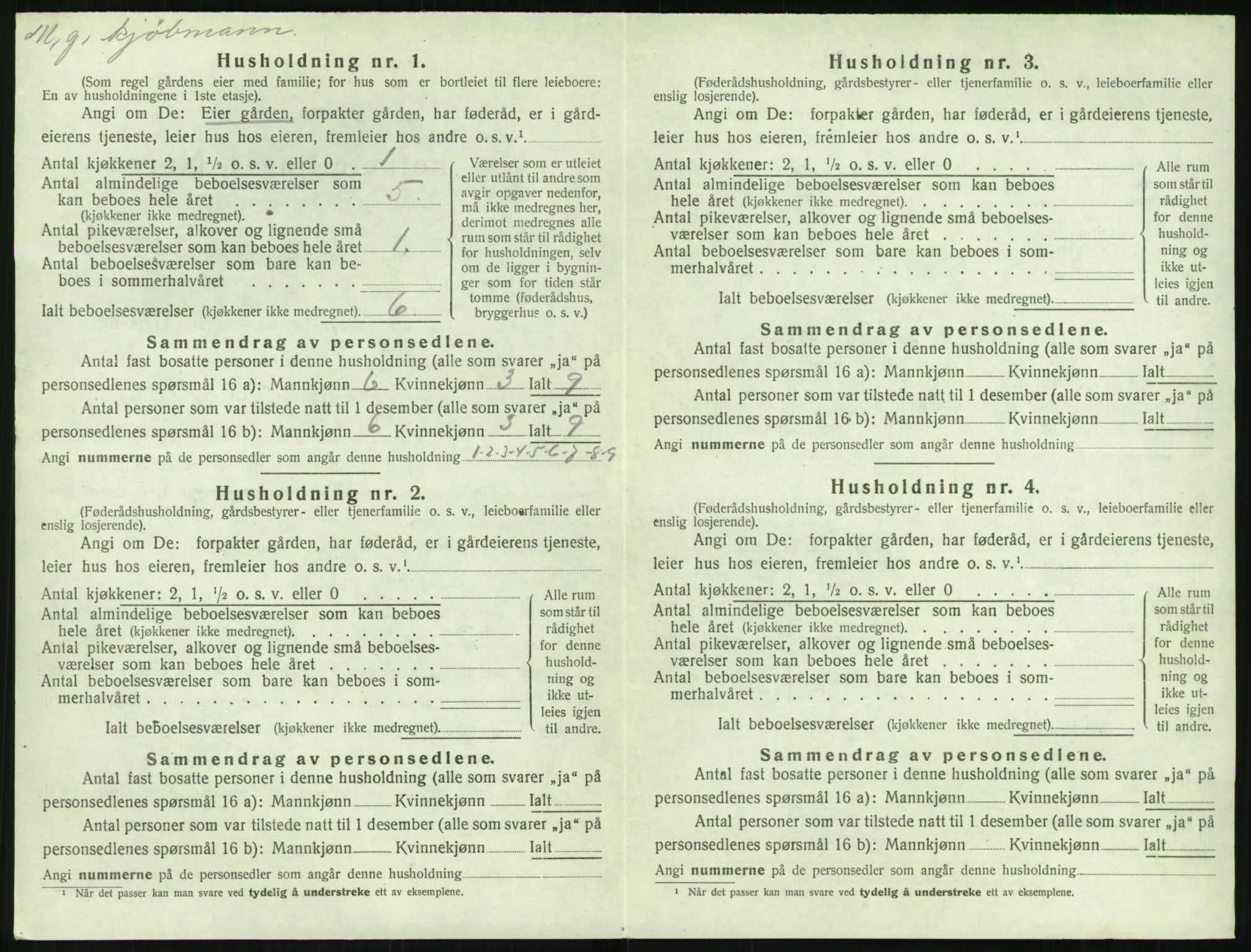 SAK, 1920 census for Øyestad, 1920, p. 1077