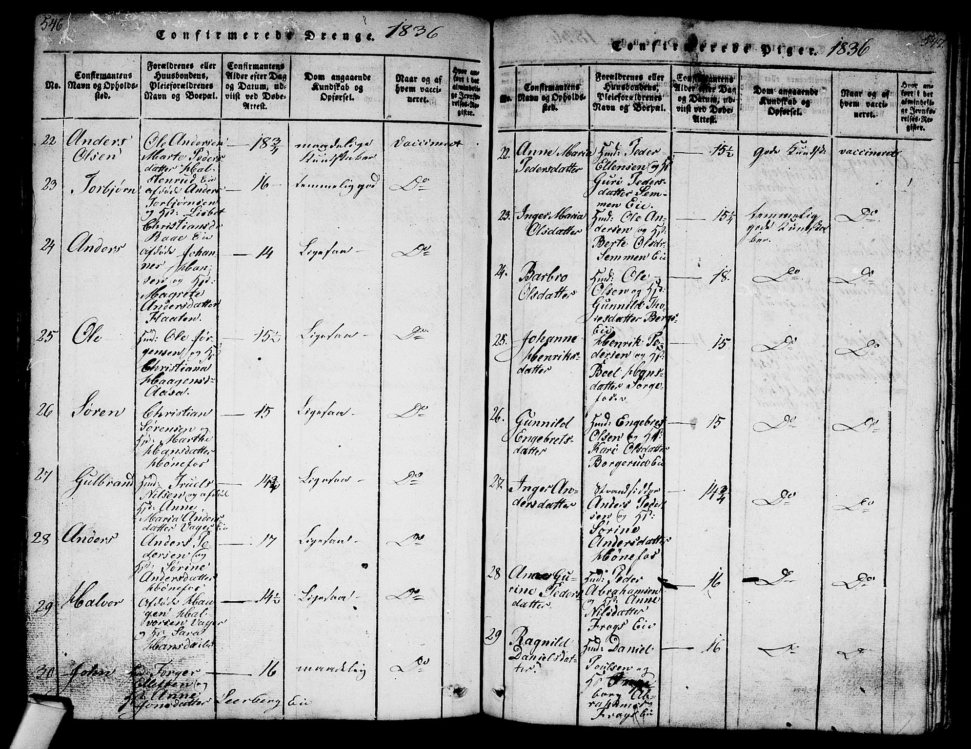 Norderhov kirkebøker, AV/SAKO-A-237/G/Ga/L0003: Parish register (copy) no. I 3 /1, 1814-1876, p. 546-547