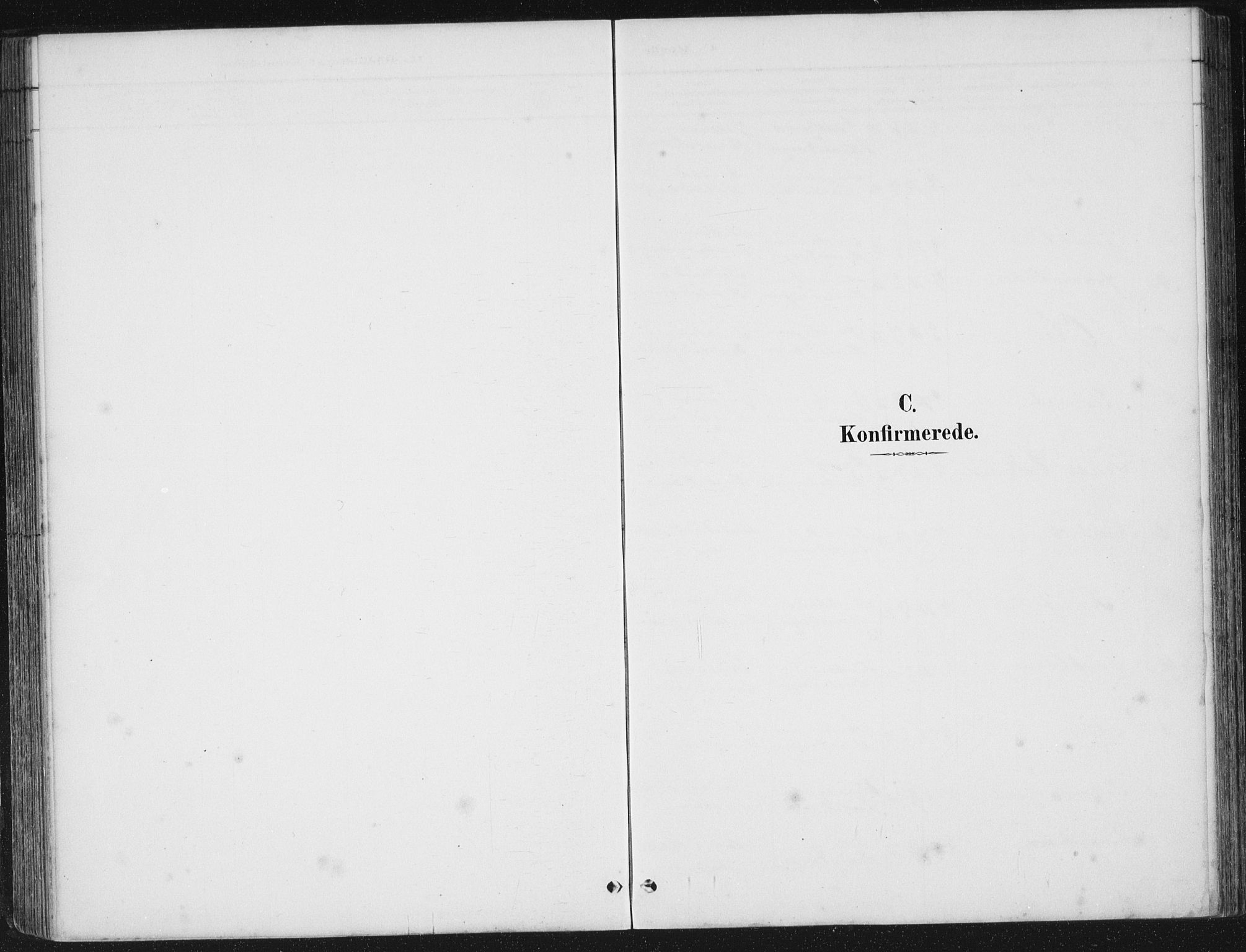 Ministerialprotokoller, klokkerbøker og fødselsregistre - Møre og Romsdal, AV/SAT-A-1454/567/L0783: Parish register (copy) no. 567C03, 1887-1903