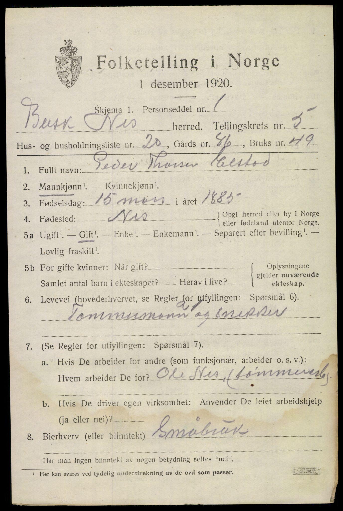 SAKO, 1920 census for Nes (Buskerud), 1920, p. 2666