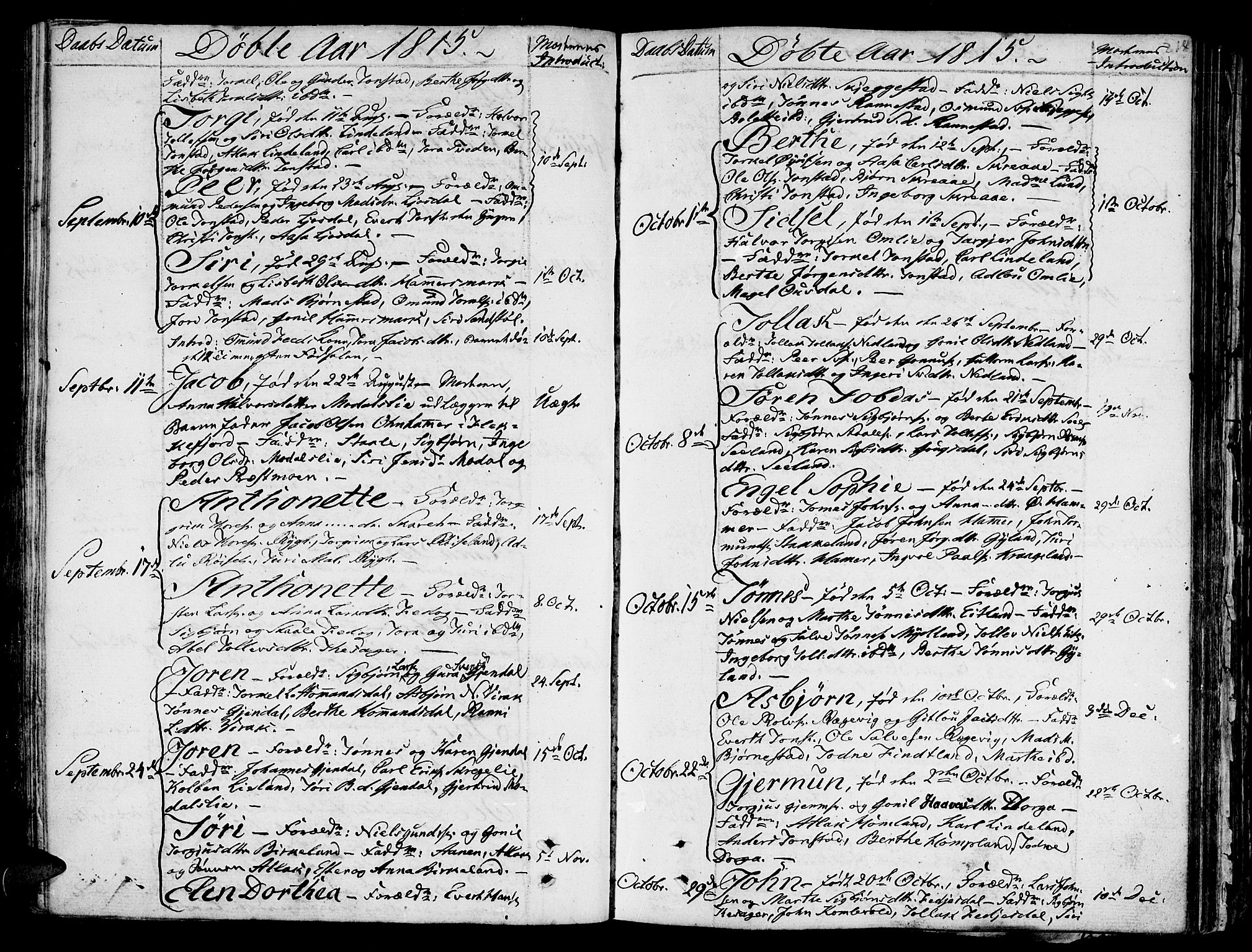 Bakke sokneprestkontor, AV/SAK-1111-0002/F/Fa/Faa/L0002: Parish register (official) no. A 2, 1780-1816, p. 218