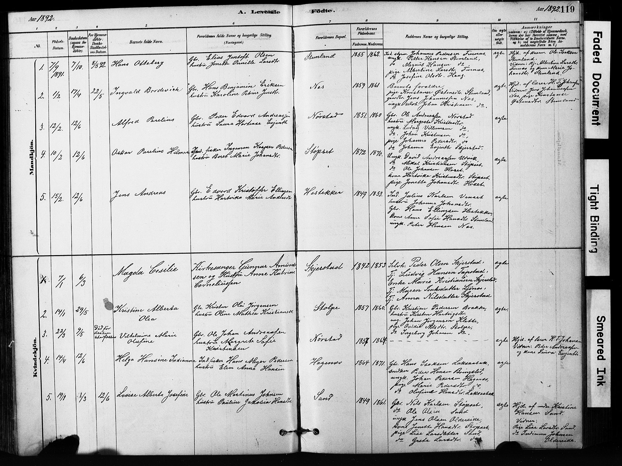 Ministerialprotokoller, klokkerbøker og fødselsregistre - Nordland, SAT/A-1459/852/L0754: Parish register (copy) no. 852C05, 1878-1894, p. 119